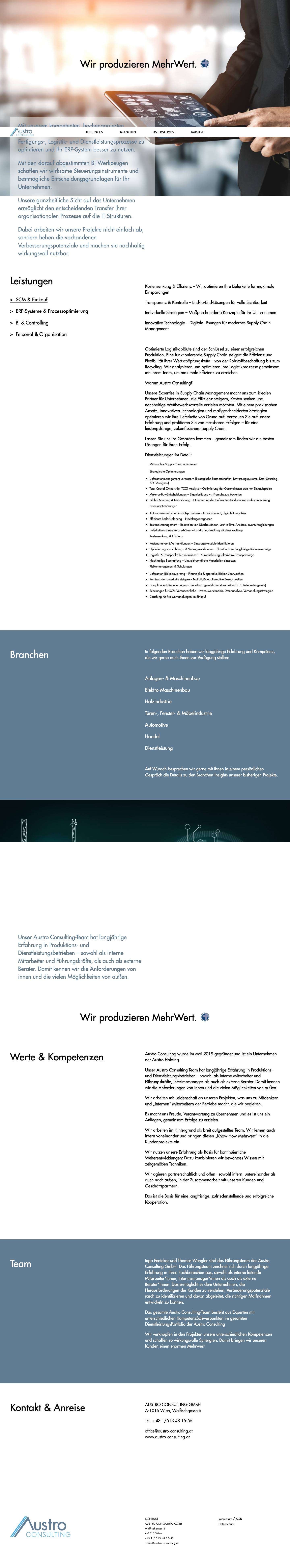 austro Consulting - Full Screenshot