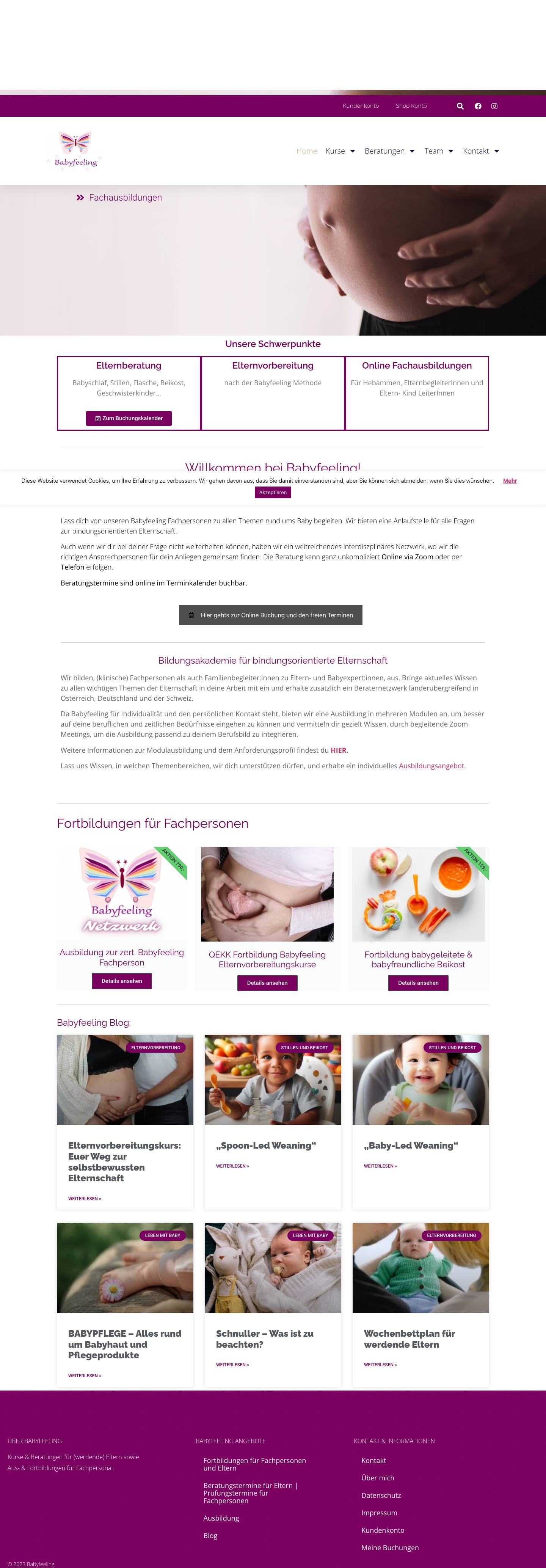 Babyfeeling - Kurse für Eltern & Fachpersonen - Babyfeelingarrow - Full Screenshot