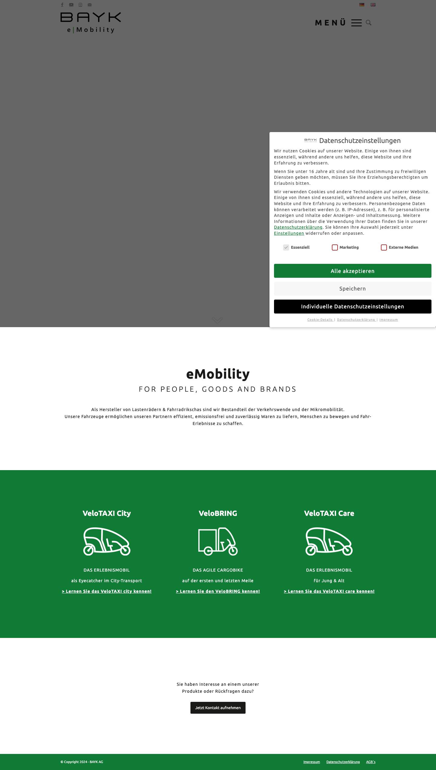 Home - BAYK AG - Full Screenshot