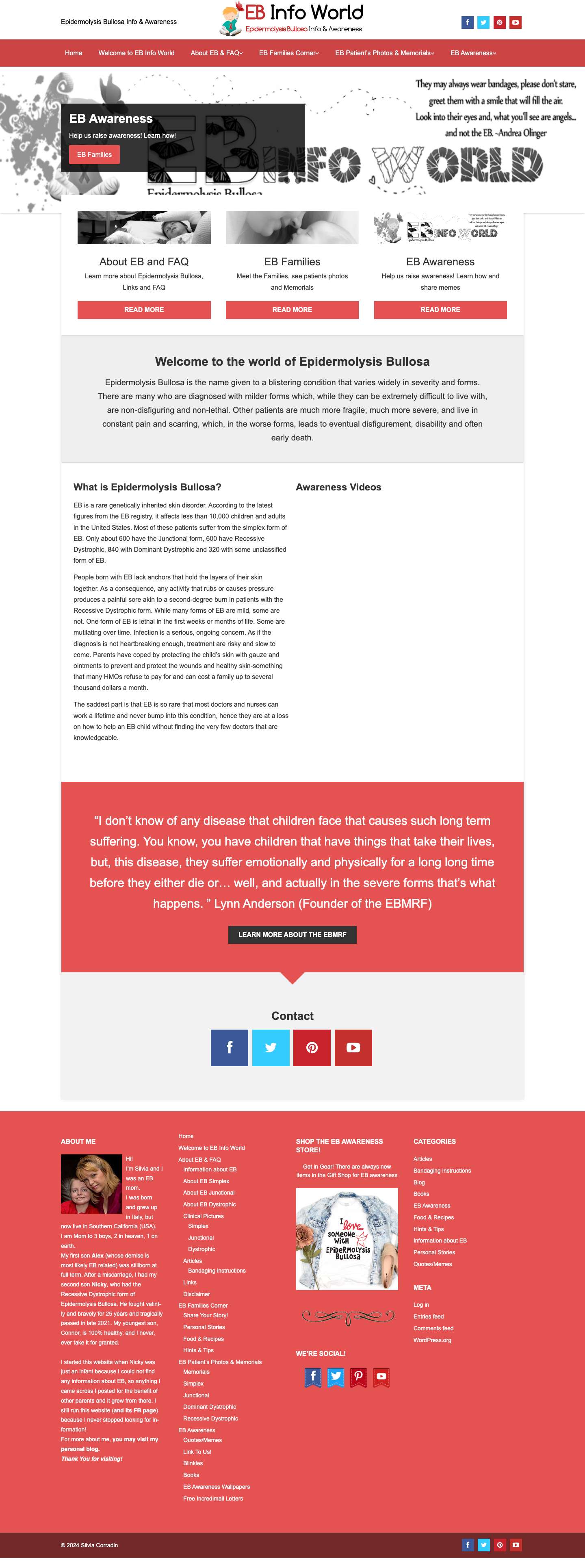 EB Info World | Epidermolysis Bullosa Info & Awareness - Full Screenshot