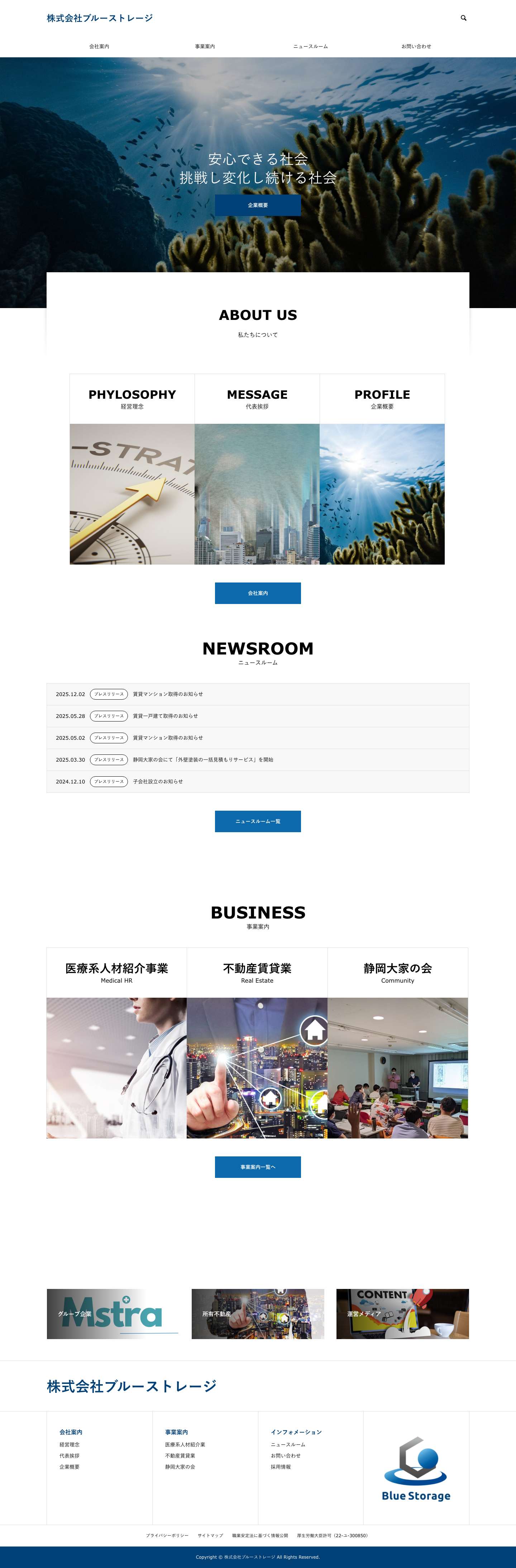 株式会社ブルーストレージ – 医師の人材紹介、不動産賃貸業を行う静岡の会社です。 - Full Screenshot