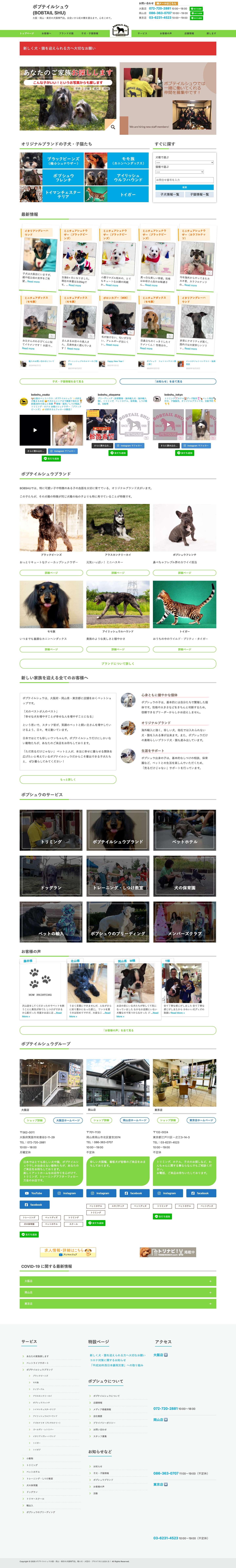 ボブテイルシュウ アラスカンクリーカイ・極小シュナウザーなどの繁殖・販売、その他ペットサービス - Full Screenshot