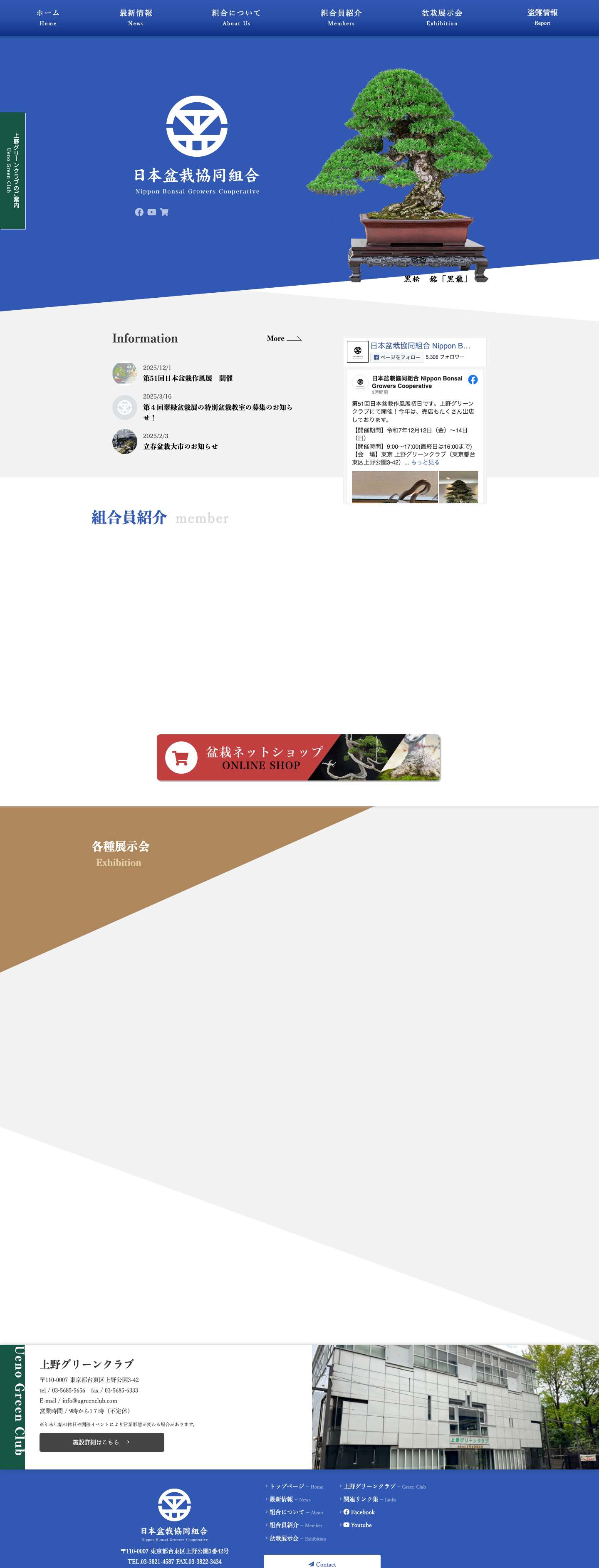 日本盆栽協同組合 ｜ 日本盆栽協同組合は、日本全国の盆栽業者の団体です。 - Full Screenshot