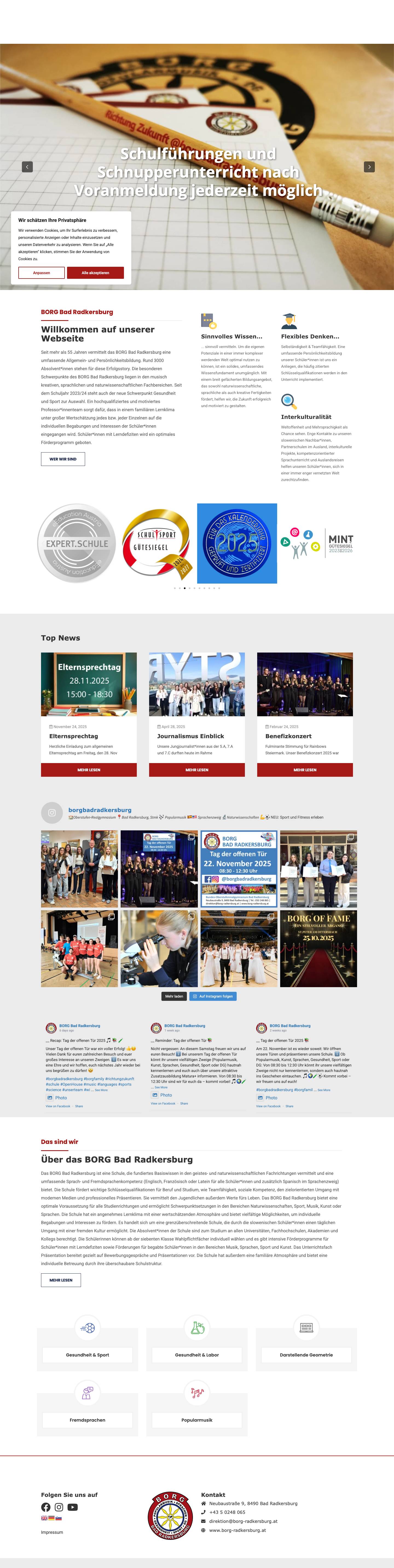 Home - BORG Bad Radkersburg - Full Screenshot