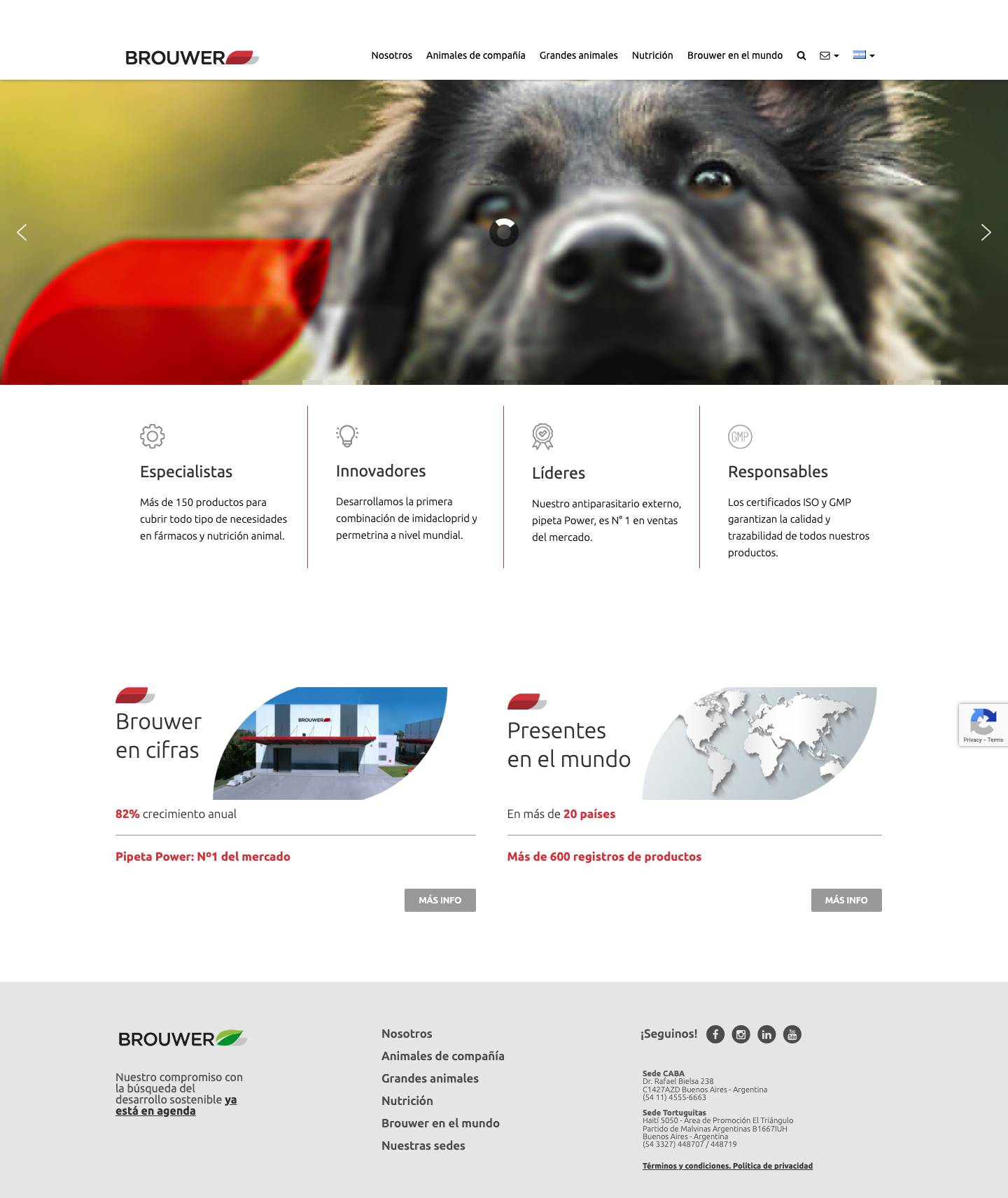 Brouwer - Full Screenshot