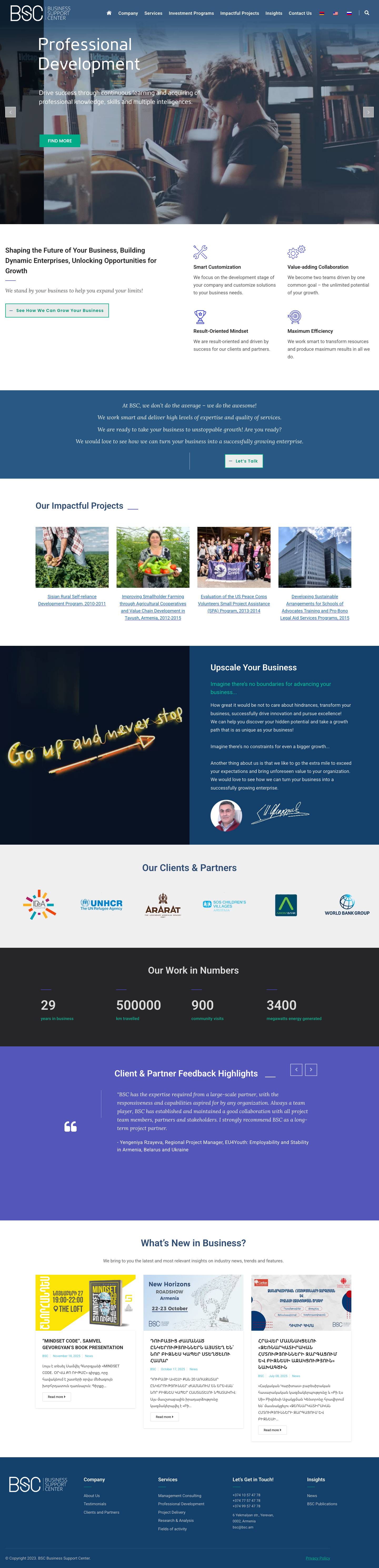 Business Management Consulting Services. Consulting firm, company - Full Screenshot