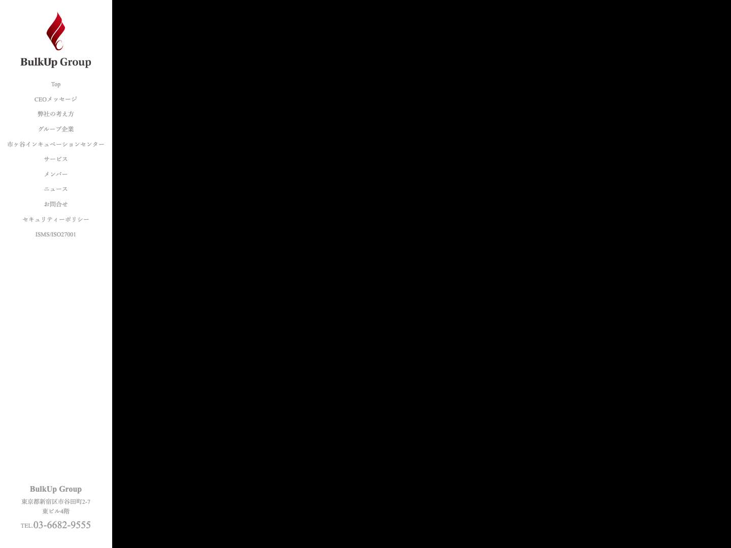 BulkUp Group -Finance, Tech and Legal- | 日本企業に財務の視点を - Full Screenshot
