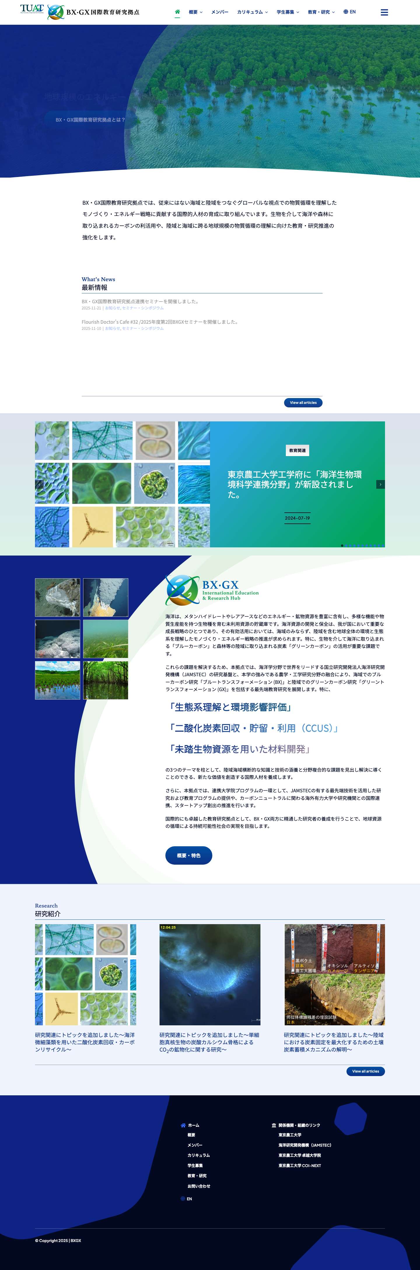 BX・GX国際教育研究拠点 – 地球規模のエネルギー・資源・食料等の課題解決に向けて - Full Screenshot