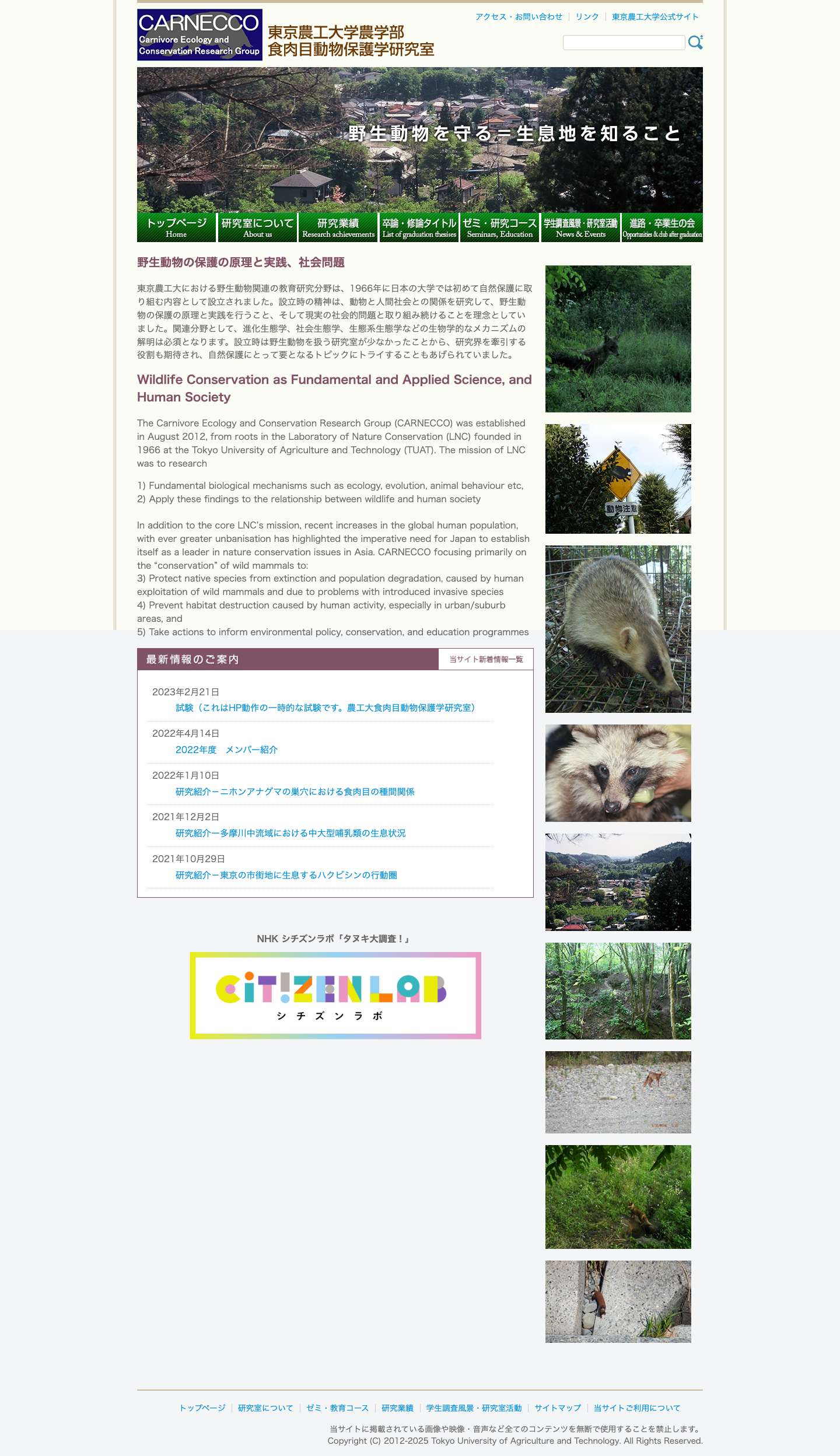 東京農工大学 食肉目動物保護学研究室 東京農工大学 食肉目動物保護学研究室 - 野生動物を守る＝生息地を知ること - Full Screenshot