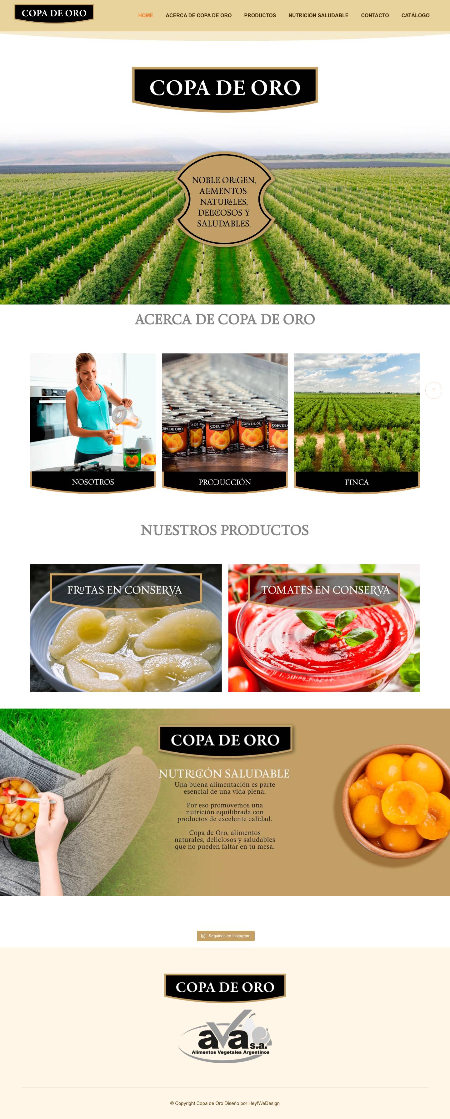 Home - Copa de Oro - Full Screenshot