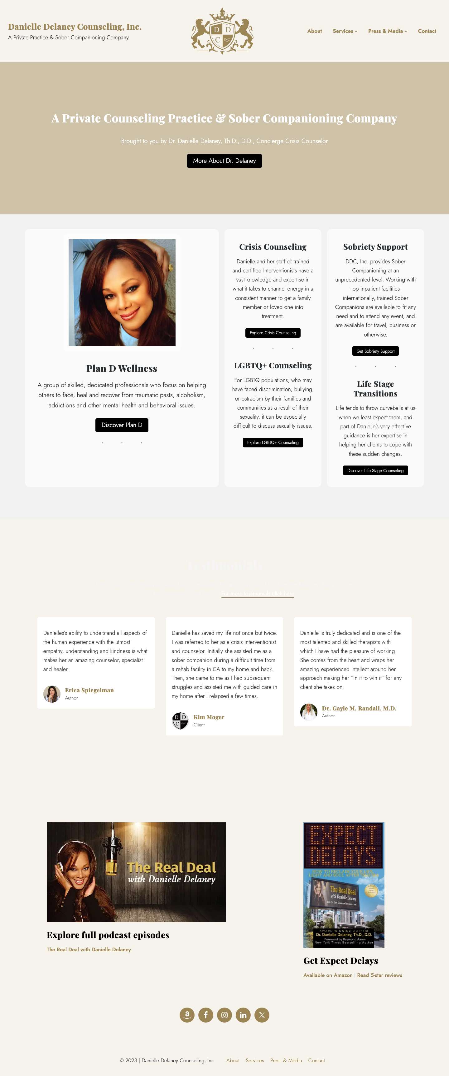 Danielle Delaney Counseling - Full Screenshot