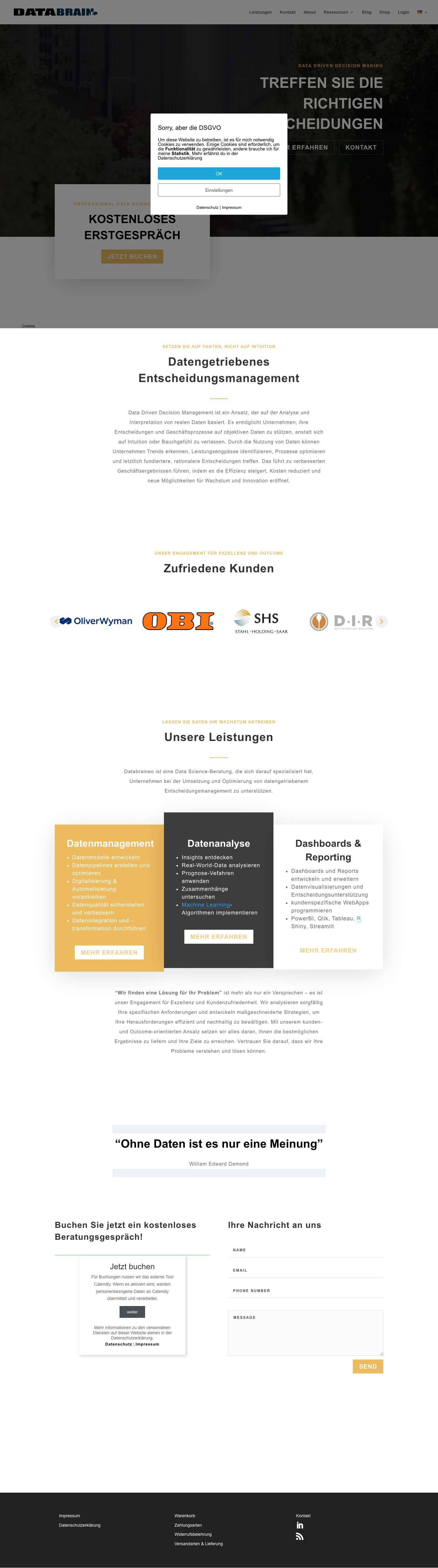 Home - DataBraineo - Data Science Consulting - Full Screenshot
