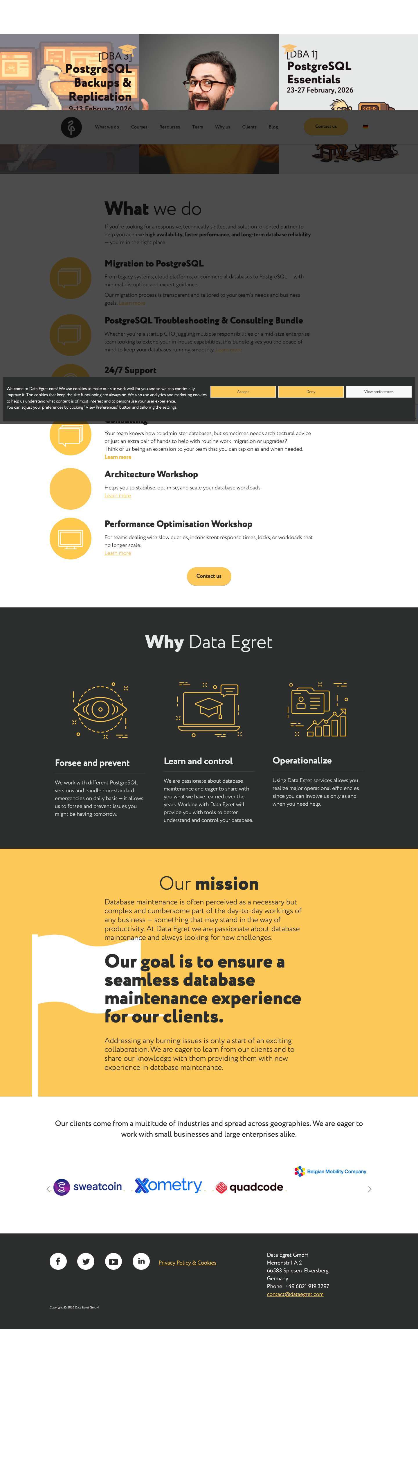 Home - Data Egret - Full Screenshot