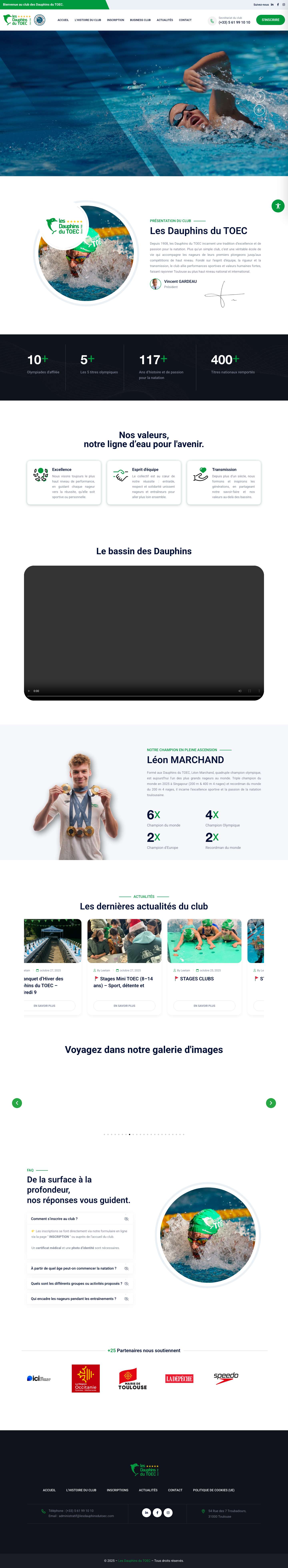 Accueil - Les Dauphins du TOEC - Full Screenshot