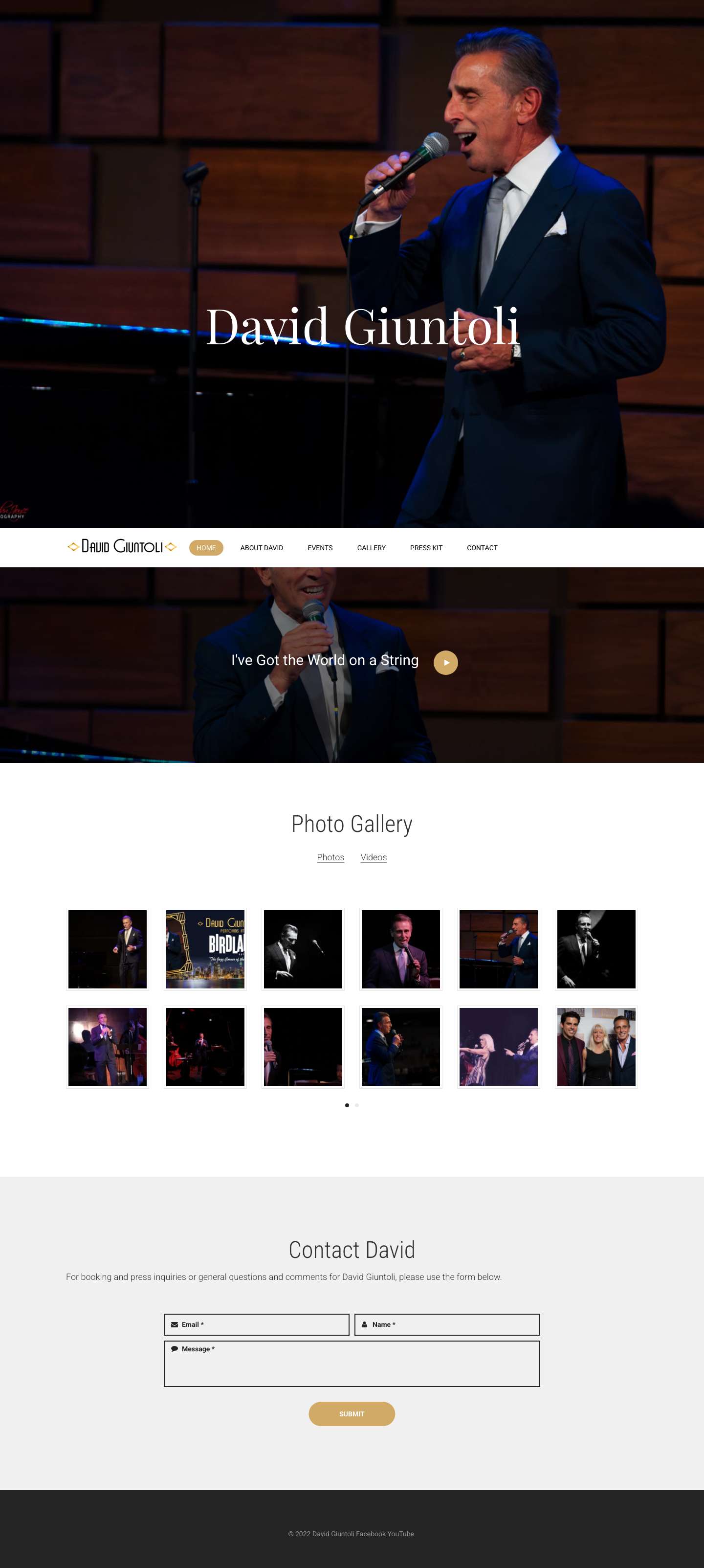 Home - David Giuntoli - Full Screenshot