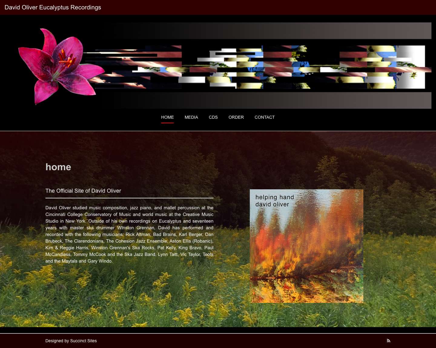 David Oliver Eucalyptus Recordings - Full Screenshot