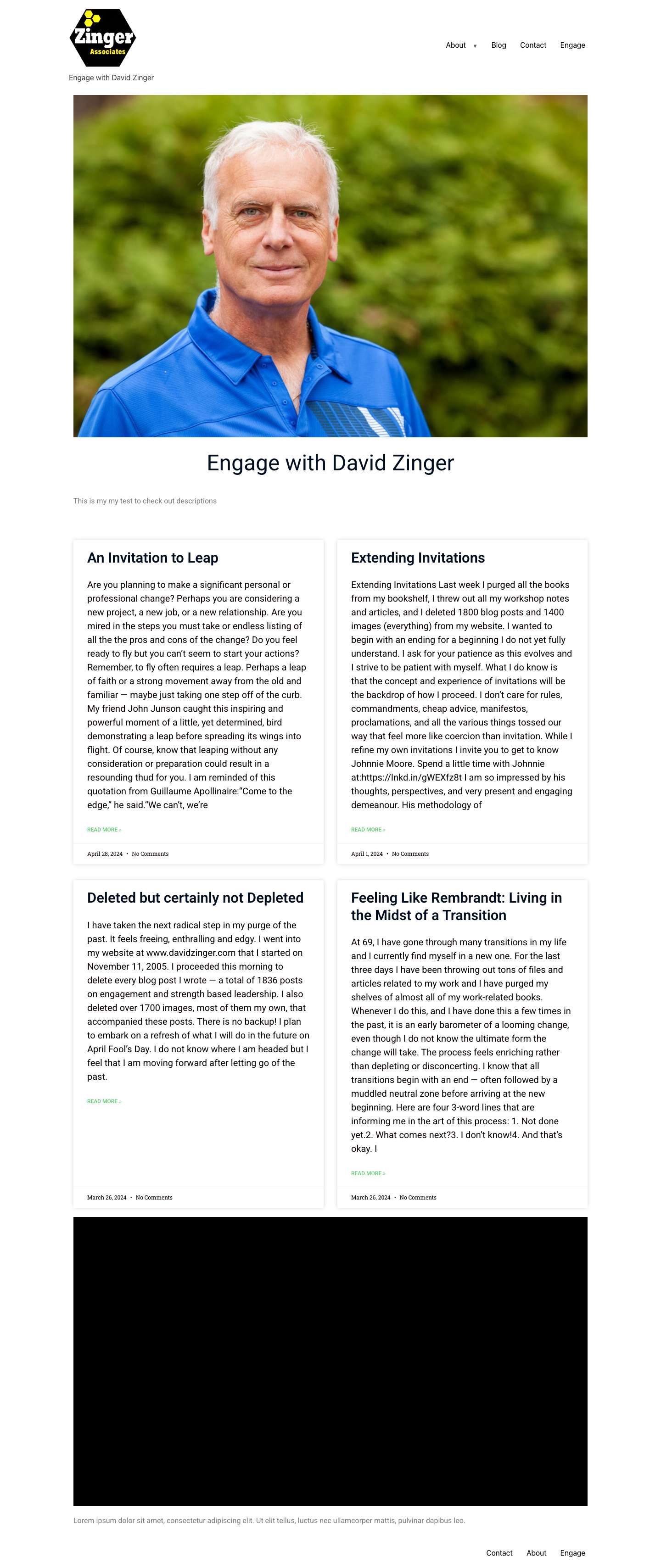 - David Zinger - Full Screenshot