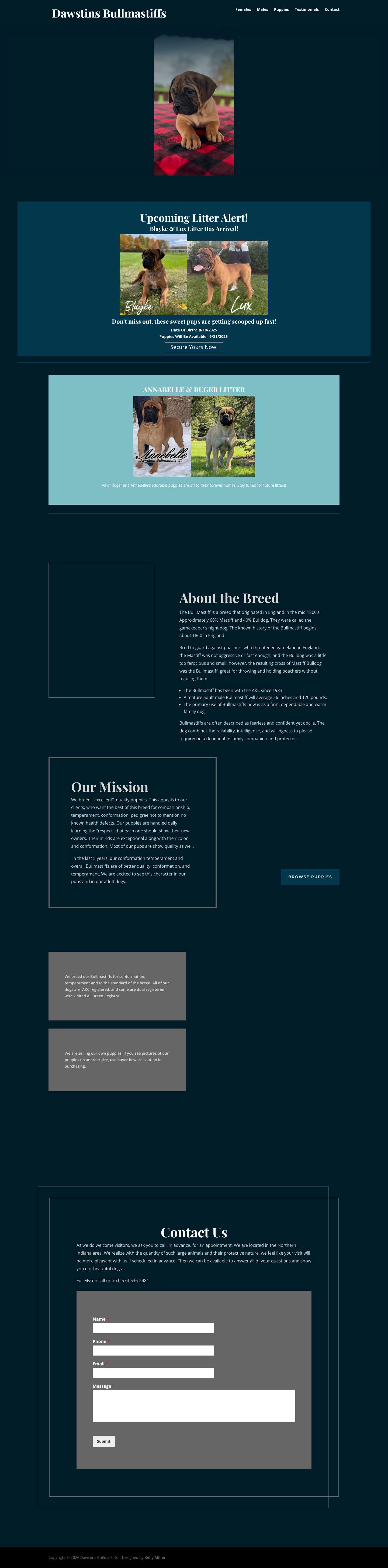 Best Quality Bullmastiff Puppies - Home - Dawstins Bullmastiffs - Full Screenshot