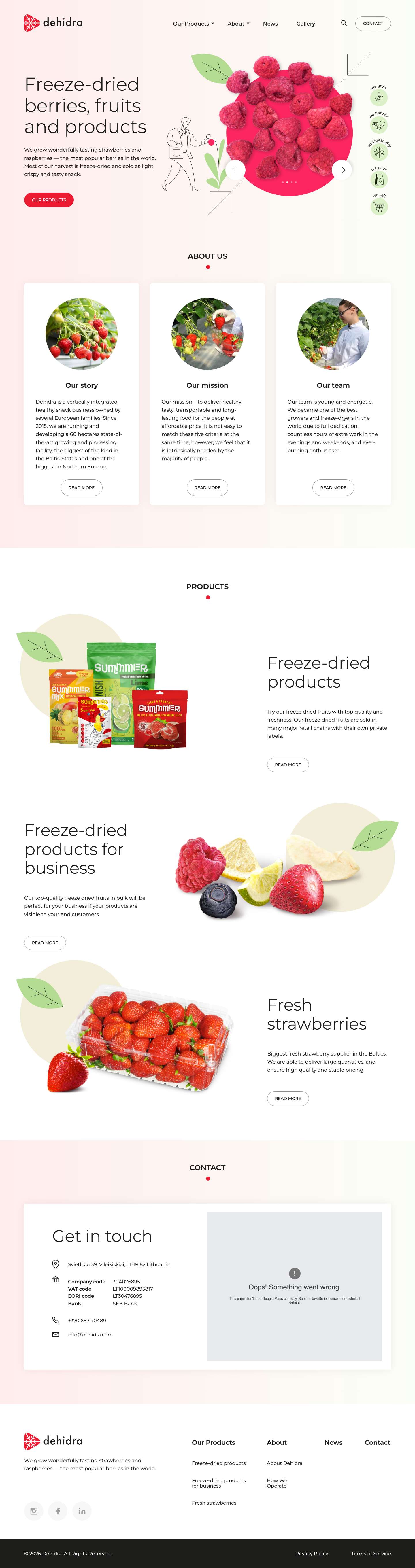 Freeze-dried berries, fruits and products | Dehidra - Full Screenshot