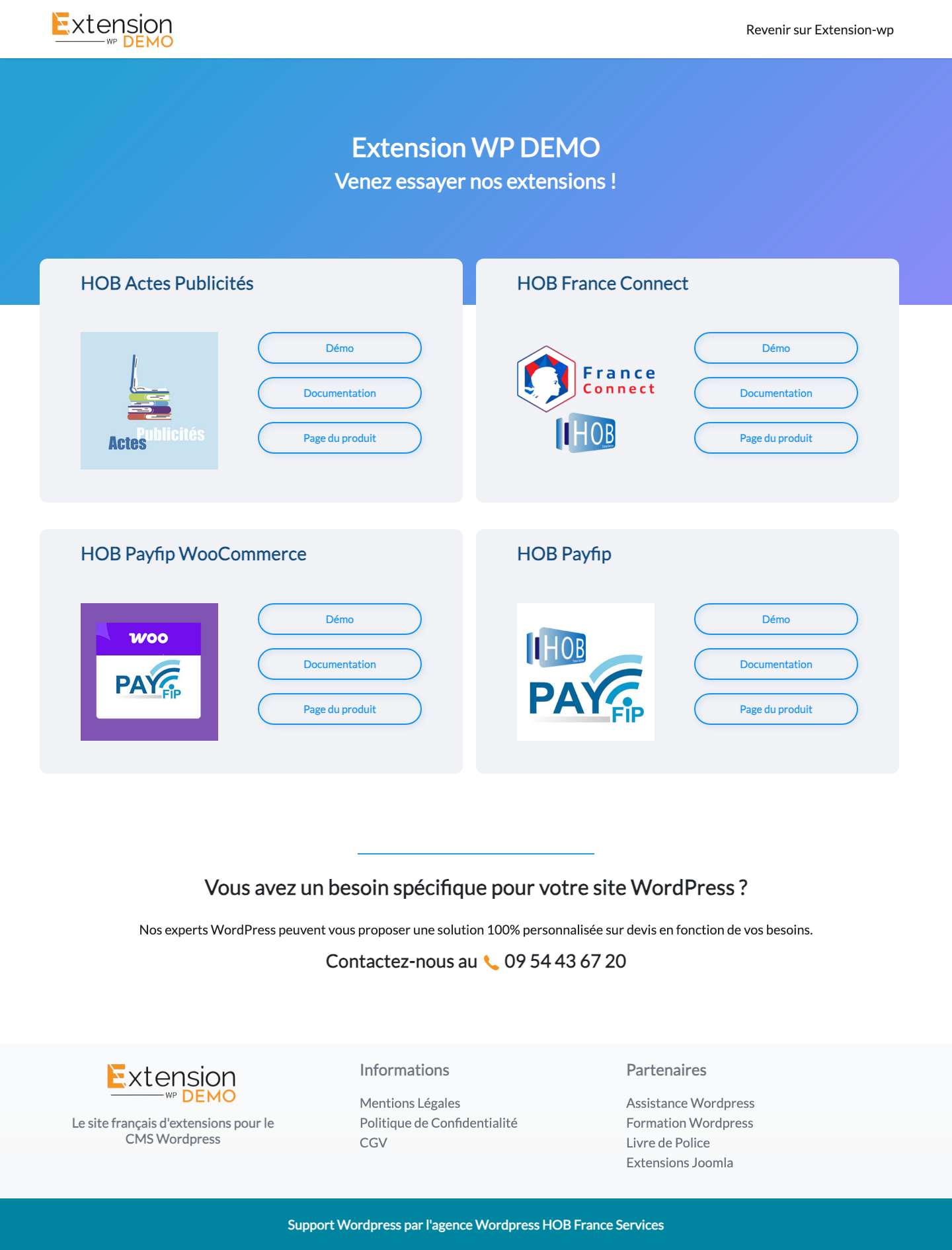 Démo Extension-WP - Démo Extension-WP - Full Screenshot