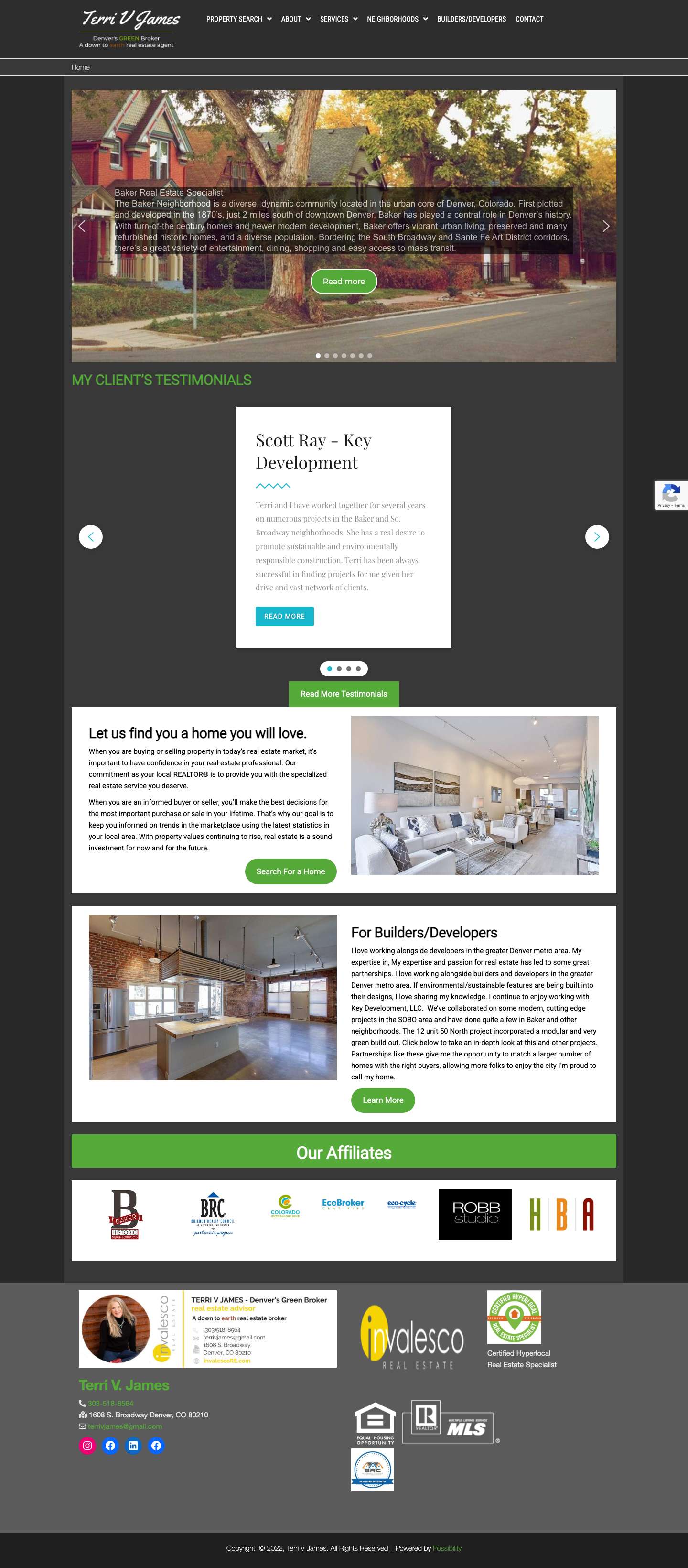 Home - Terri V James - Denver, CO Real Estate Agent, Advisor - Full Screenshot