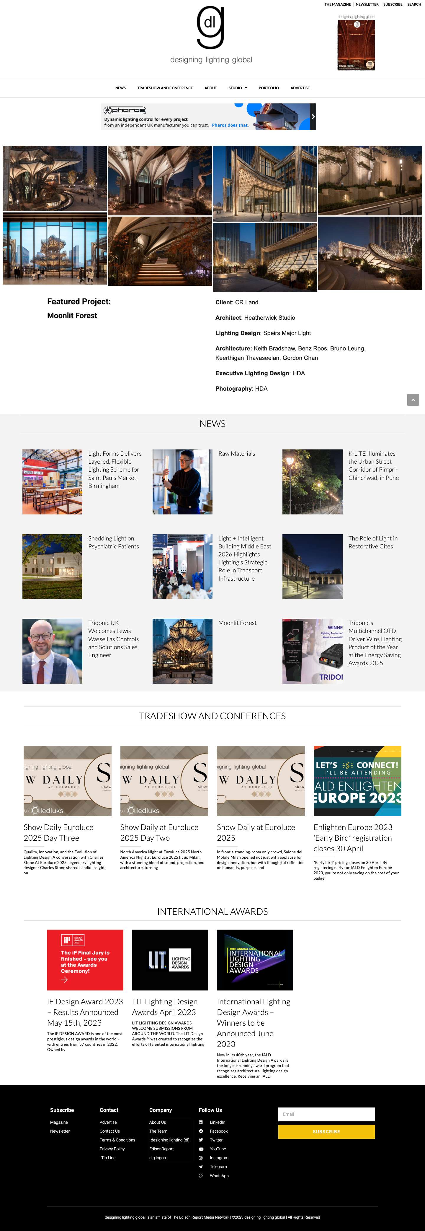 Home - designing lighting global - Full Screenshot