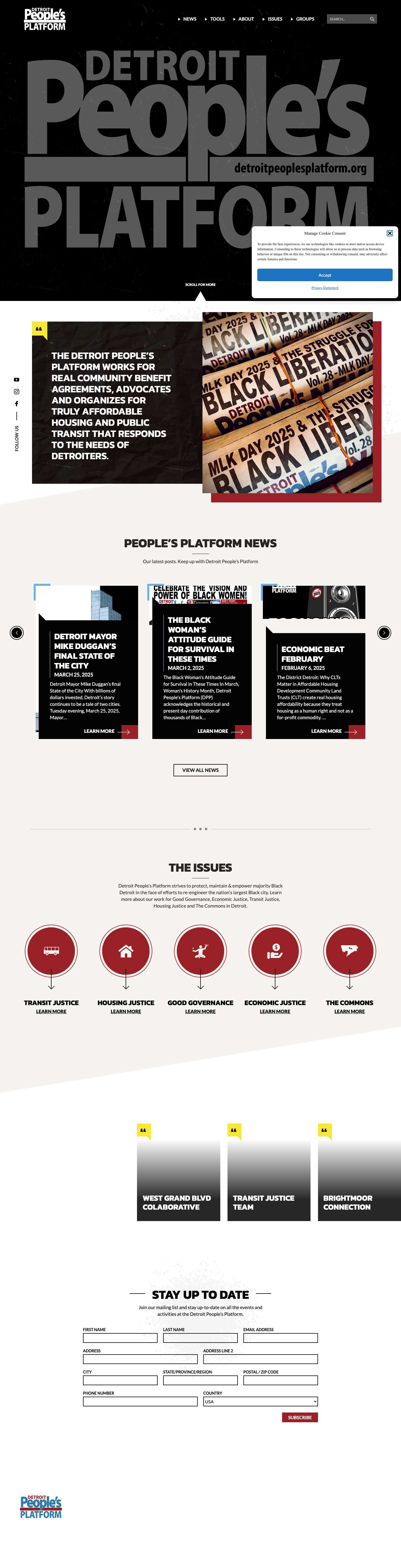 Detroit People's Platform - Full Screenshot