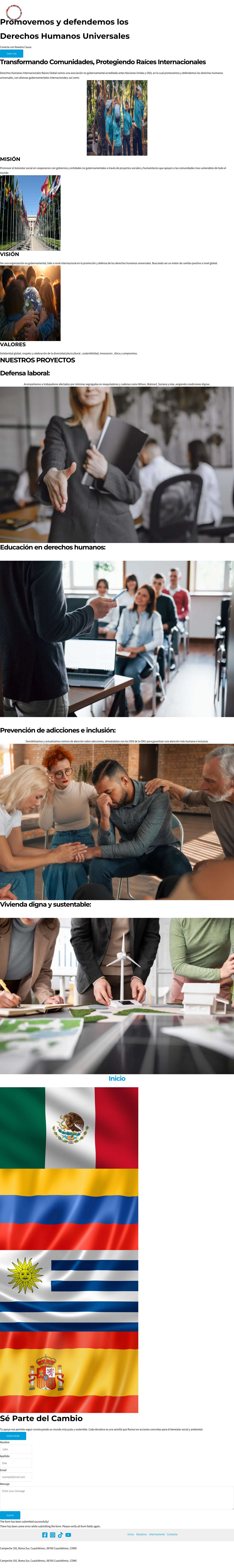 Inicio - dhirg.org - Full Screenshot