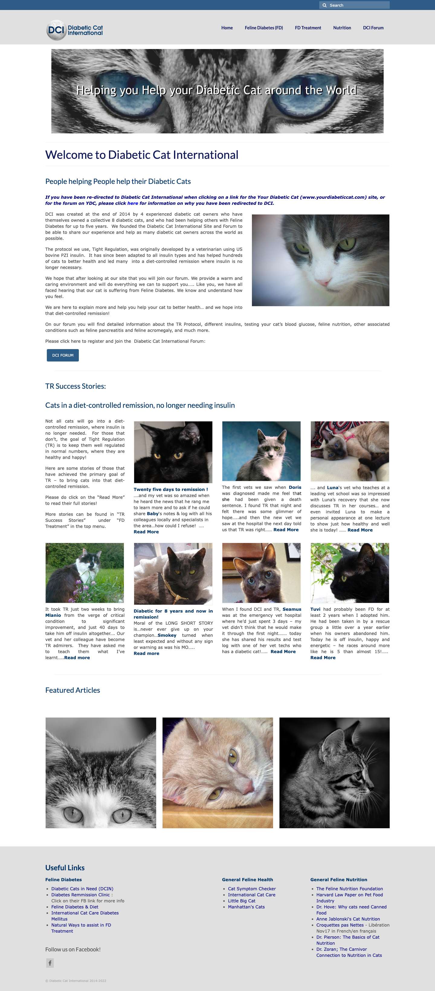 Diabetic Cat International - Full Screenshot
