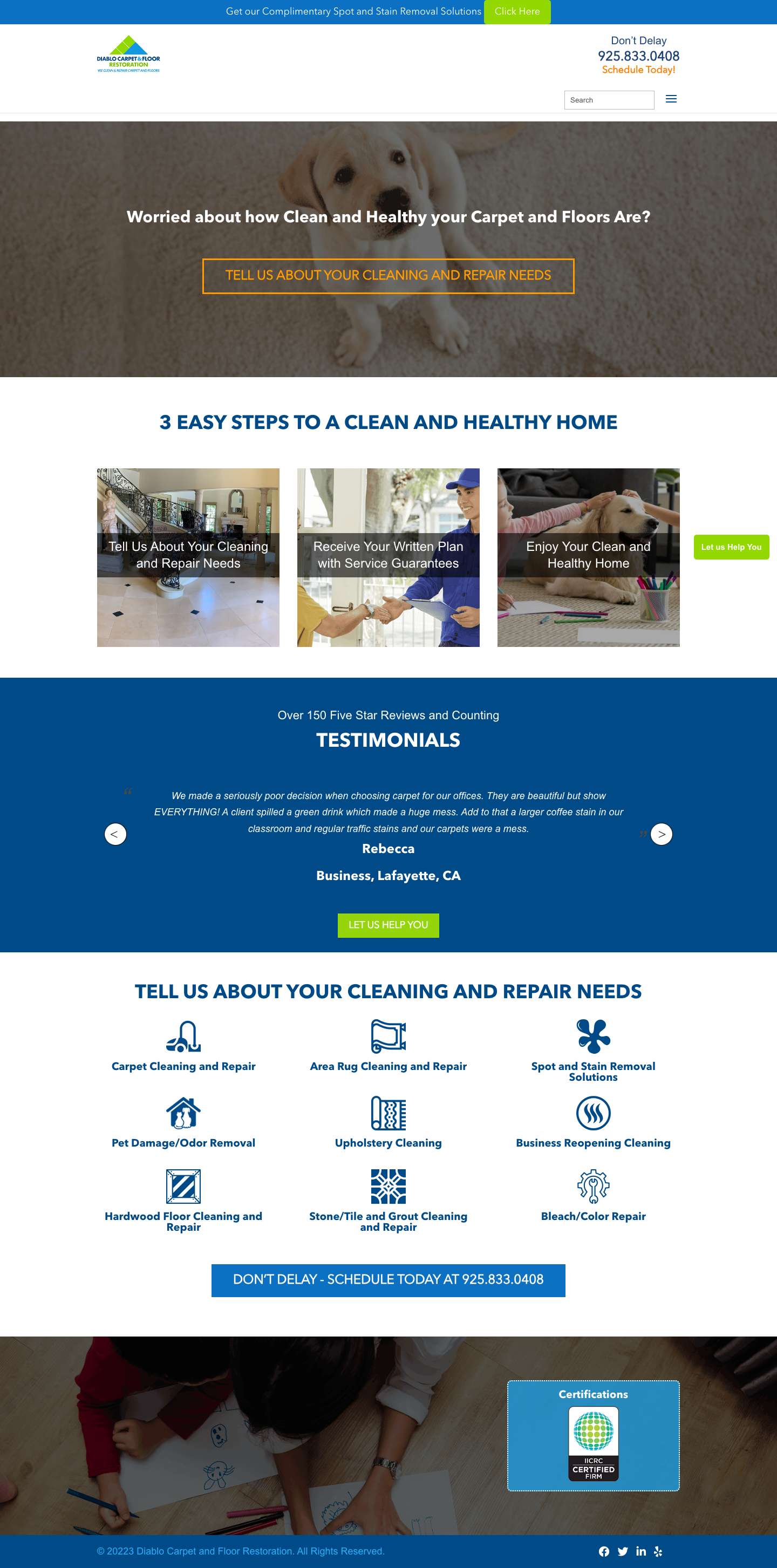 Carpet Cleaning | Carpet Stain Removal | Hardwood Cleaning - Full Screenshot