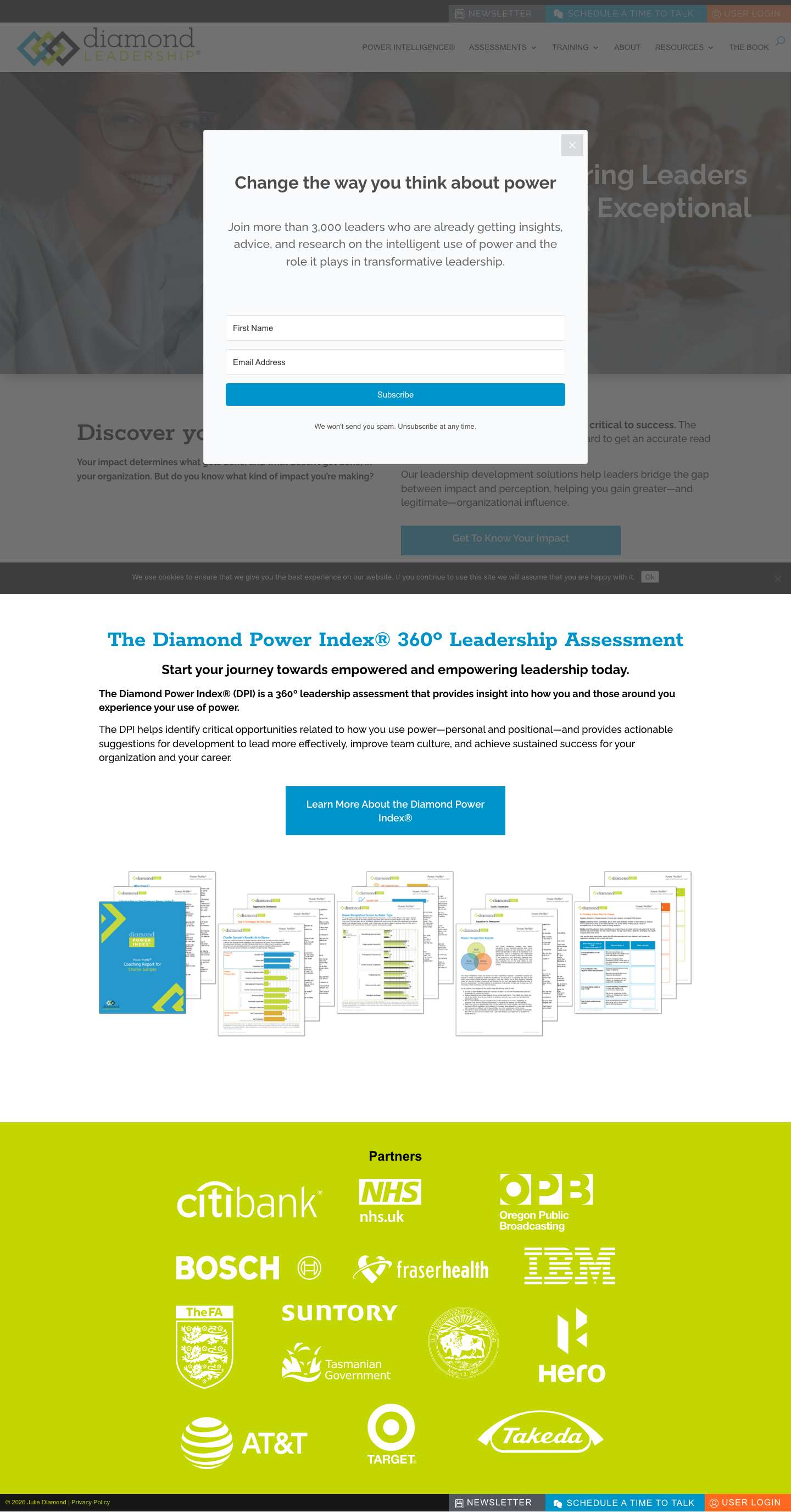 Leadership Development | Diamond Leadership - Full Screenshot