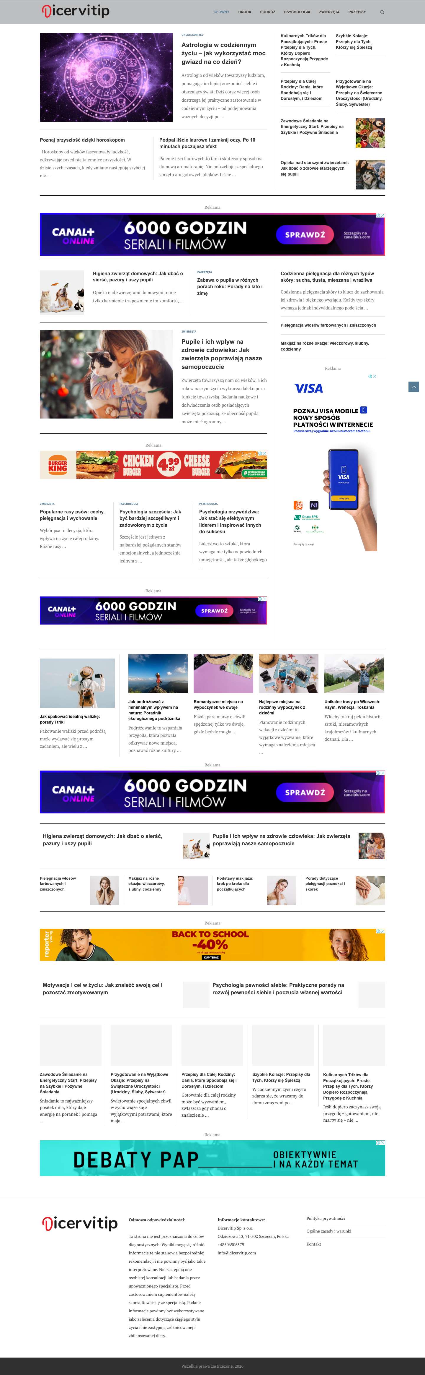 dicervitip.com - Full Screenshot