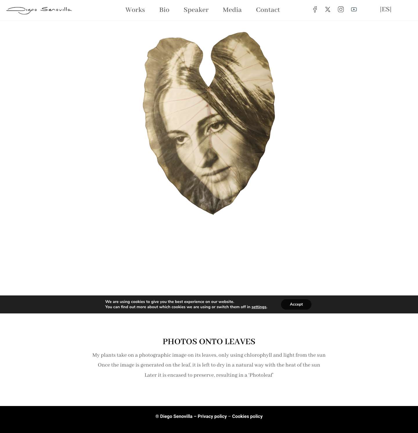 Home | Diego Senovilla - Full Screenshot