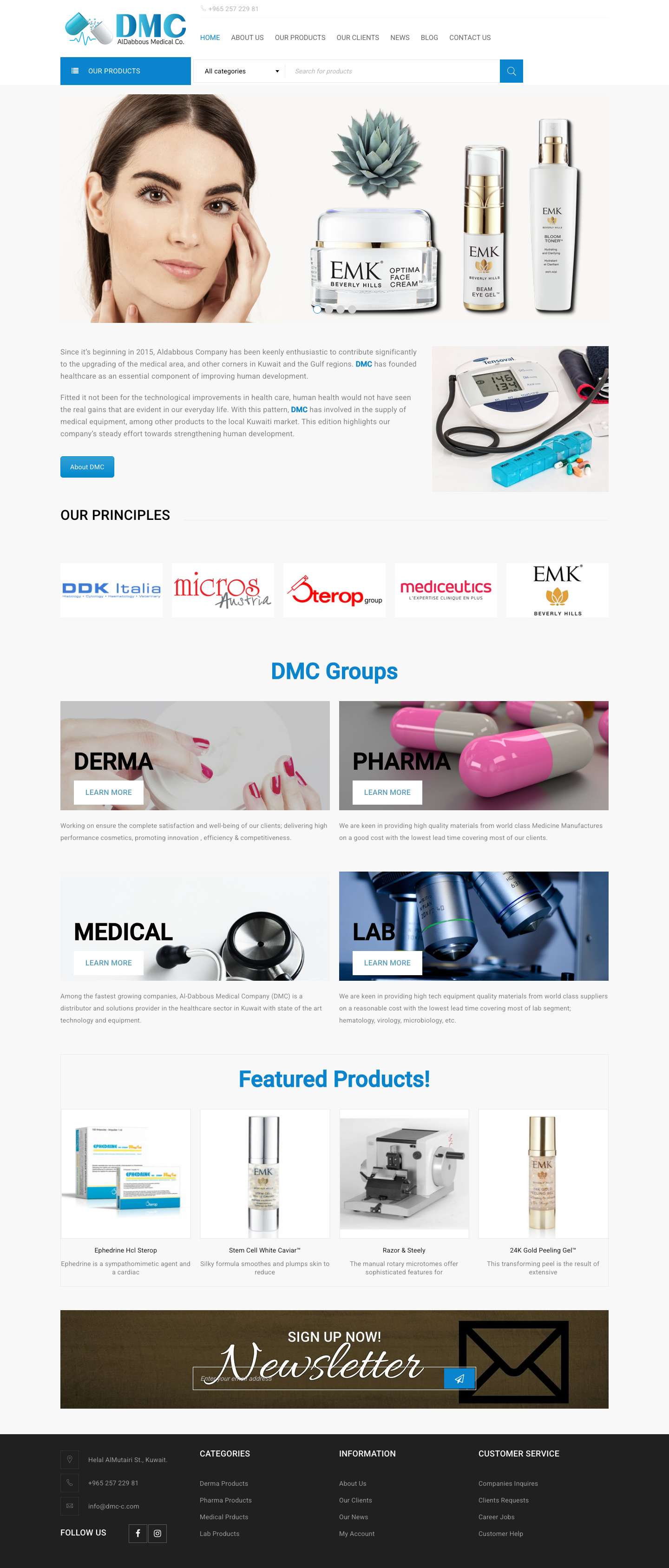 DMC - Full Screenshot