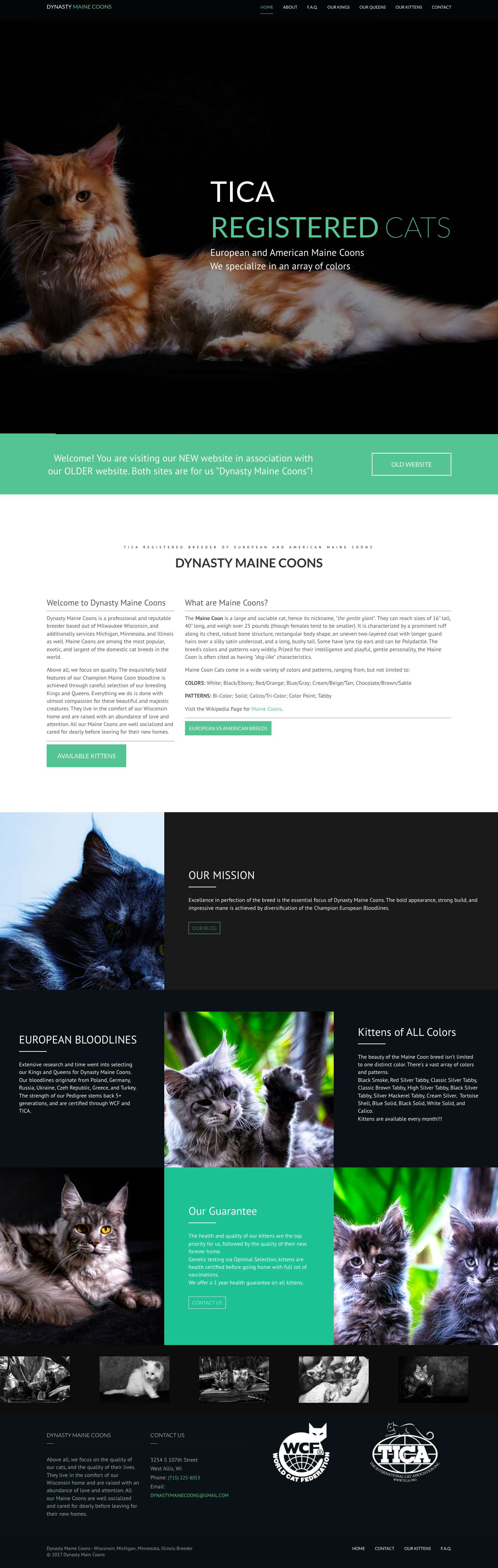 Dynasty Maine Coons - Cats - Kittens - TICA & WCF Certified Breeder - Full Screenshot