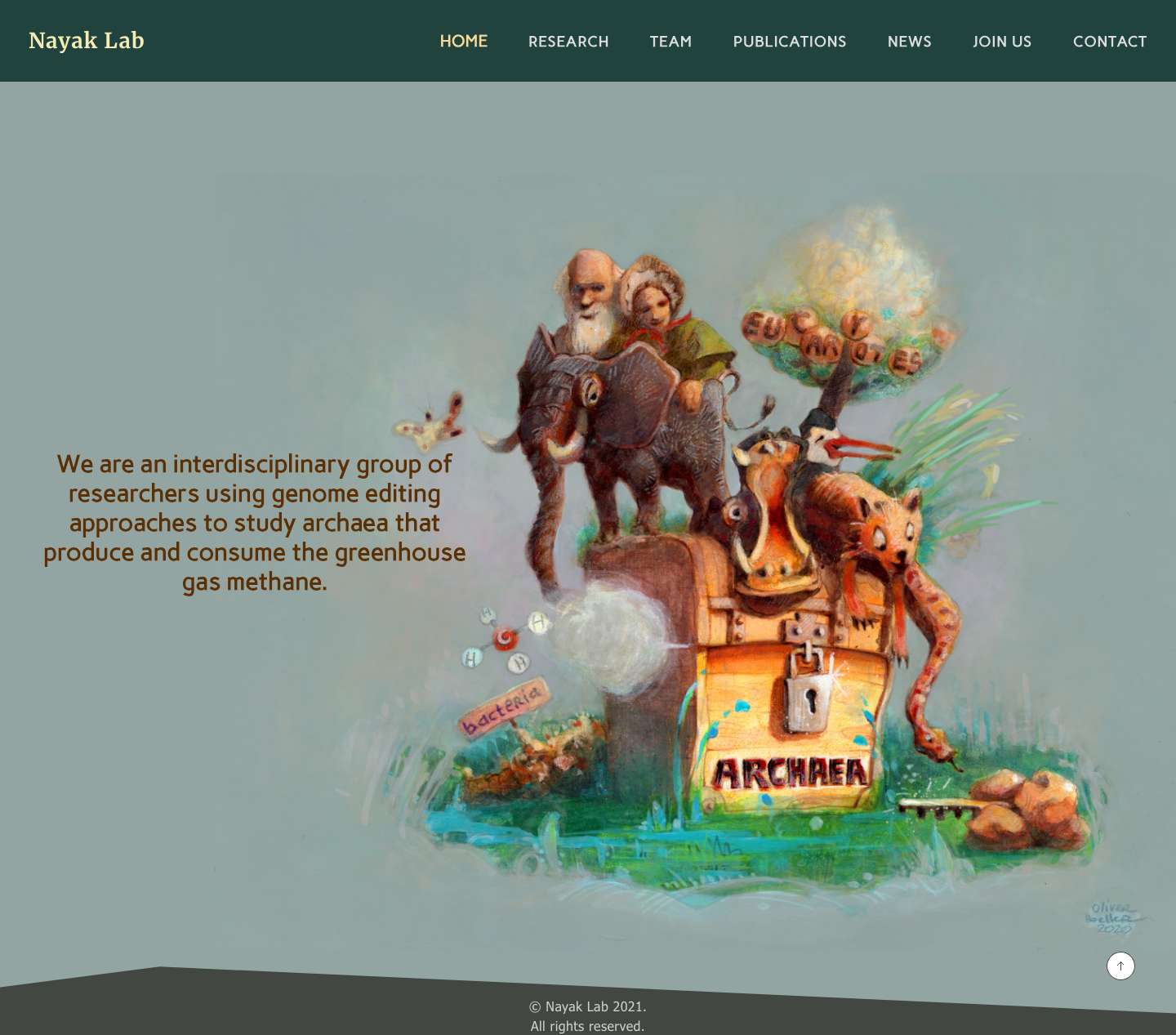 Nayak Lab - Full Screenshot