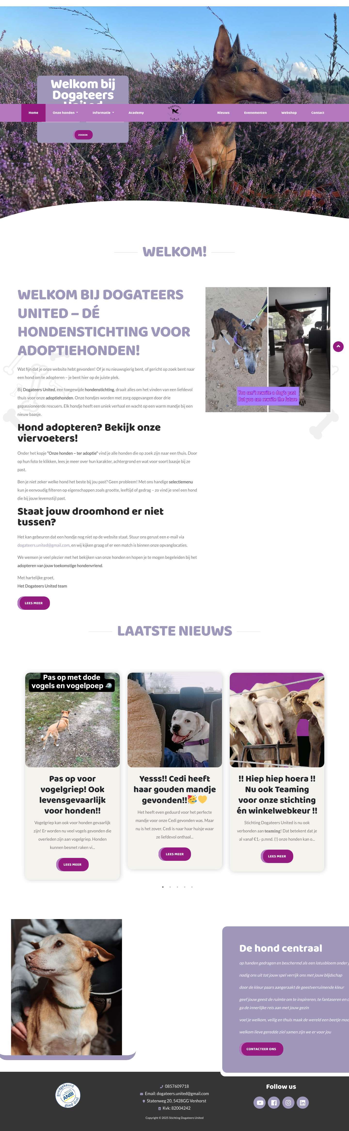 Stichting Dogateers United - Dogateers United - Full Screenshot