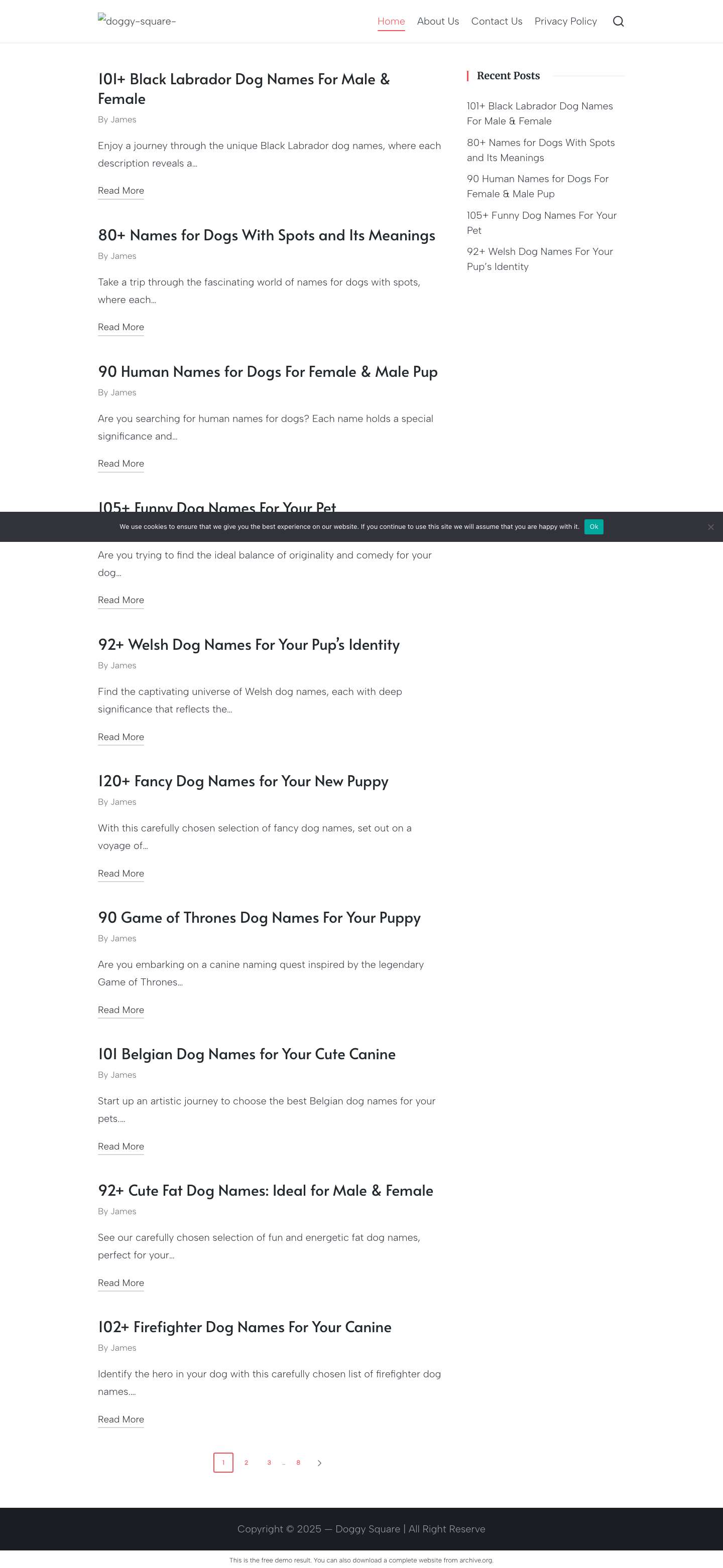 Doggy Square - Navigating Dog's Delights - Full Screenshot
