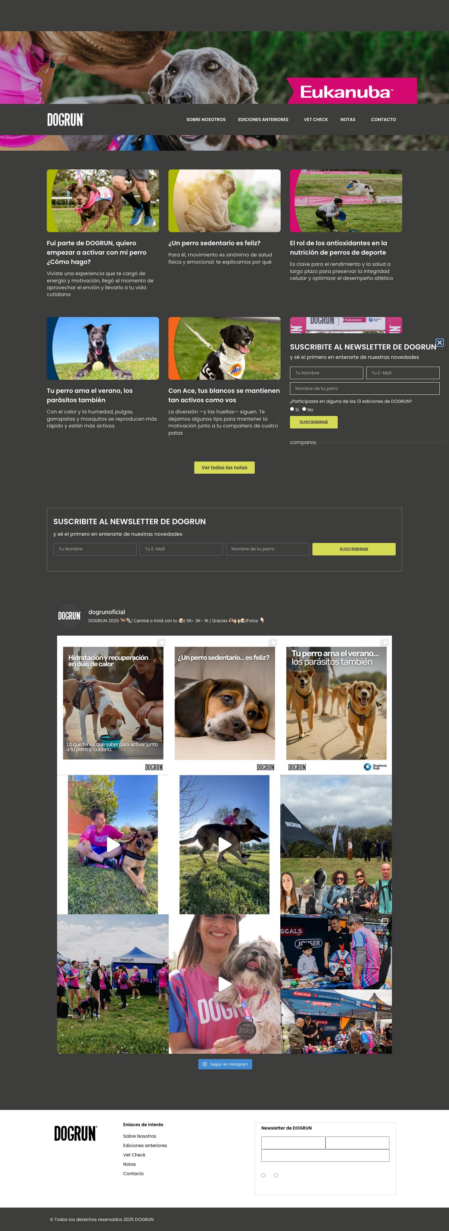 DOGRUN - Full Screenshot