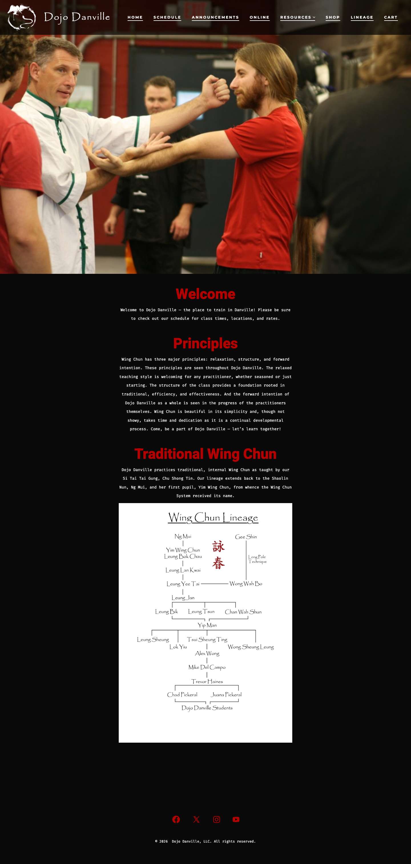 Dojo Danville - Full Screenshot