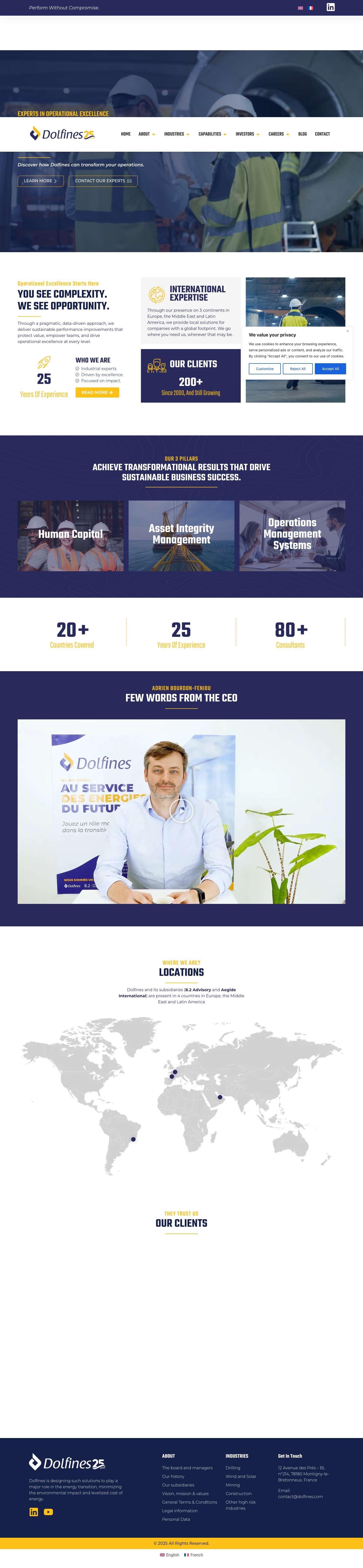 Dolfines - Consultancy Group for Operational Excellence - Full Screenshot