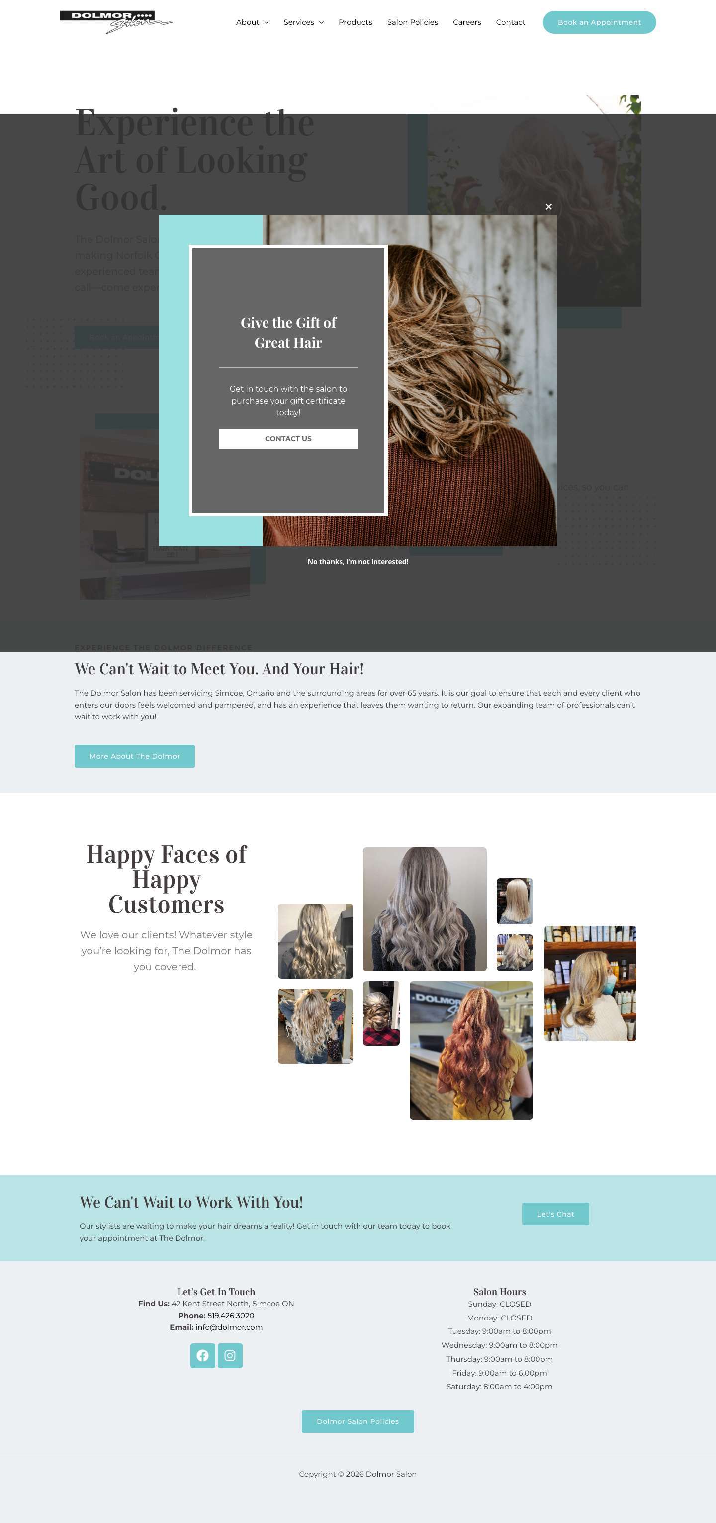 Dolmor Salon - Full Screenshot