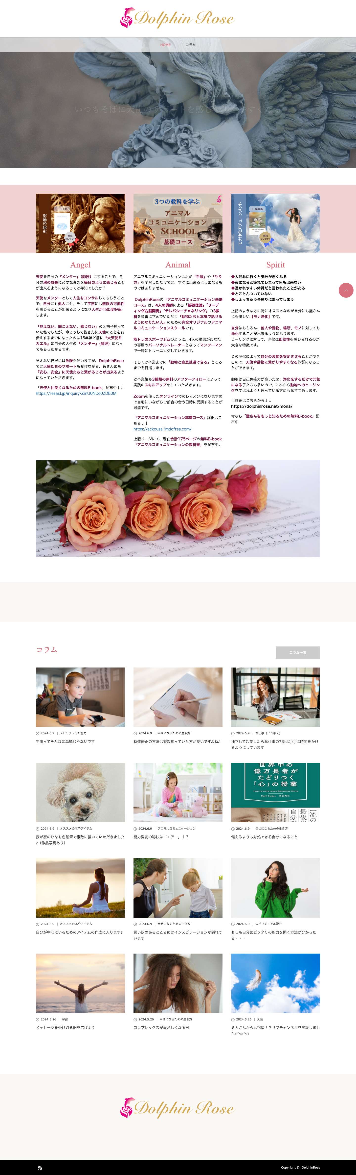 DolphinRoes - Full Screenshot