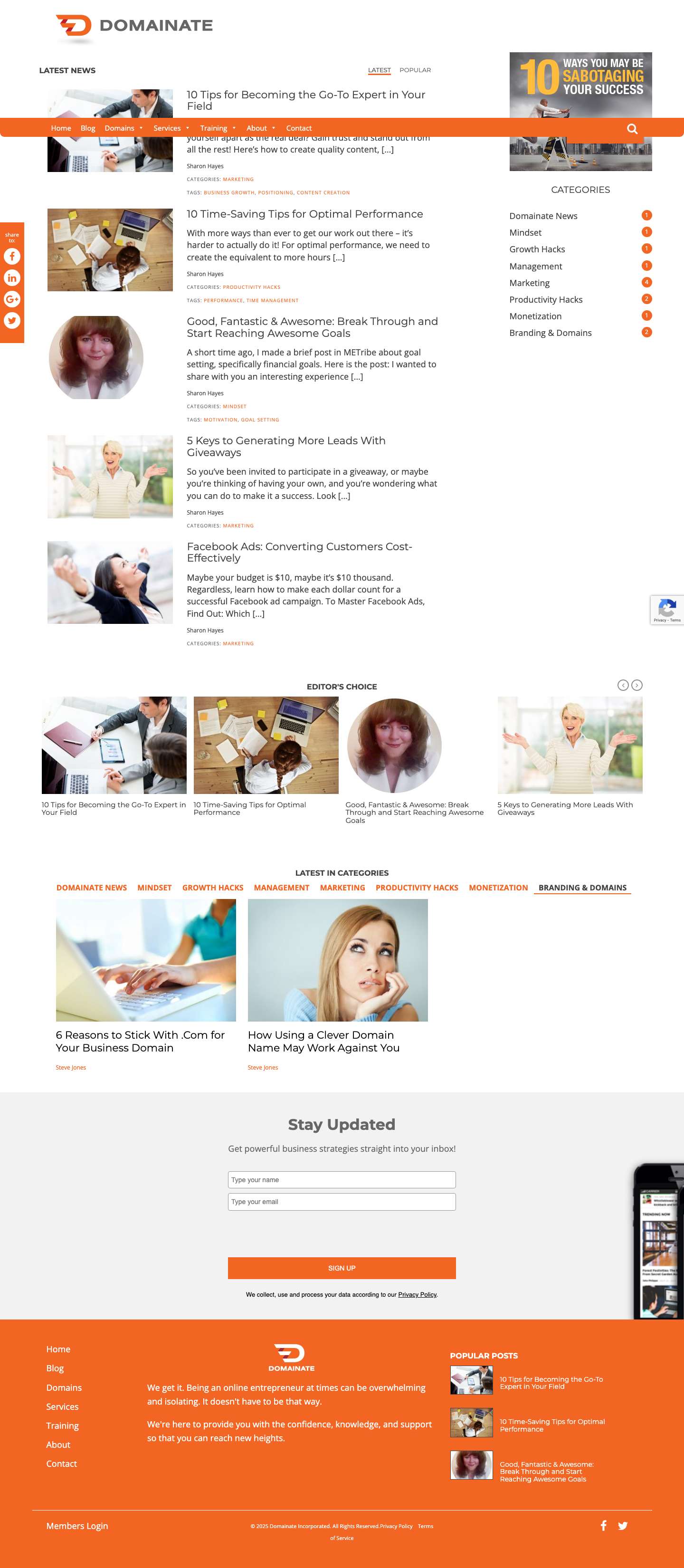 Domainate - Supporting Visionary Entrepreneurs - Full Screenshot