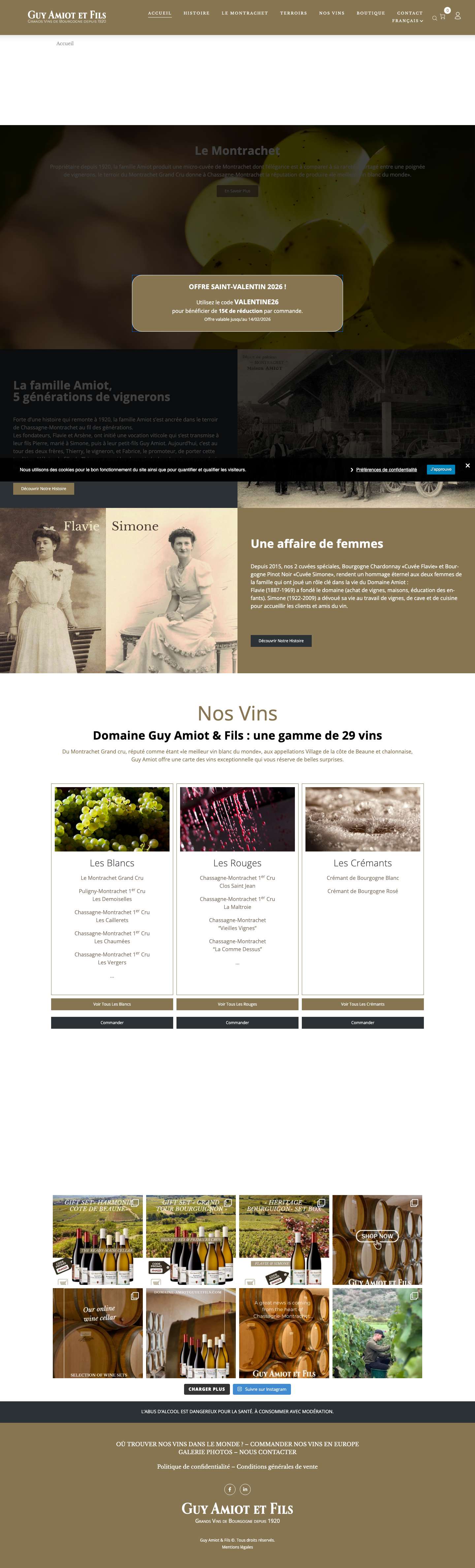 Accueil - Guy AMIOT & Fils - Full Screenshot