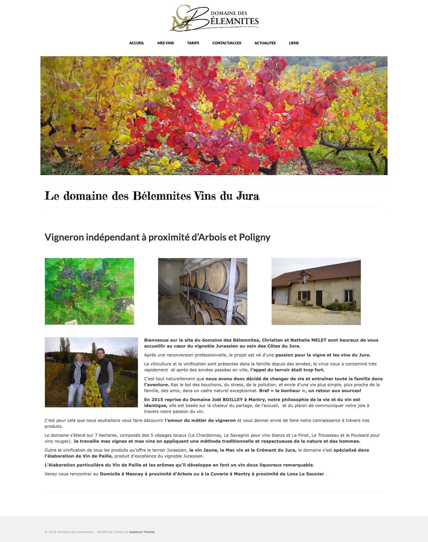 Vins Du Jura-Domaine des Bélemnites-Vigneron indépendant - Full Screenshot