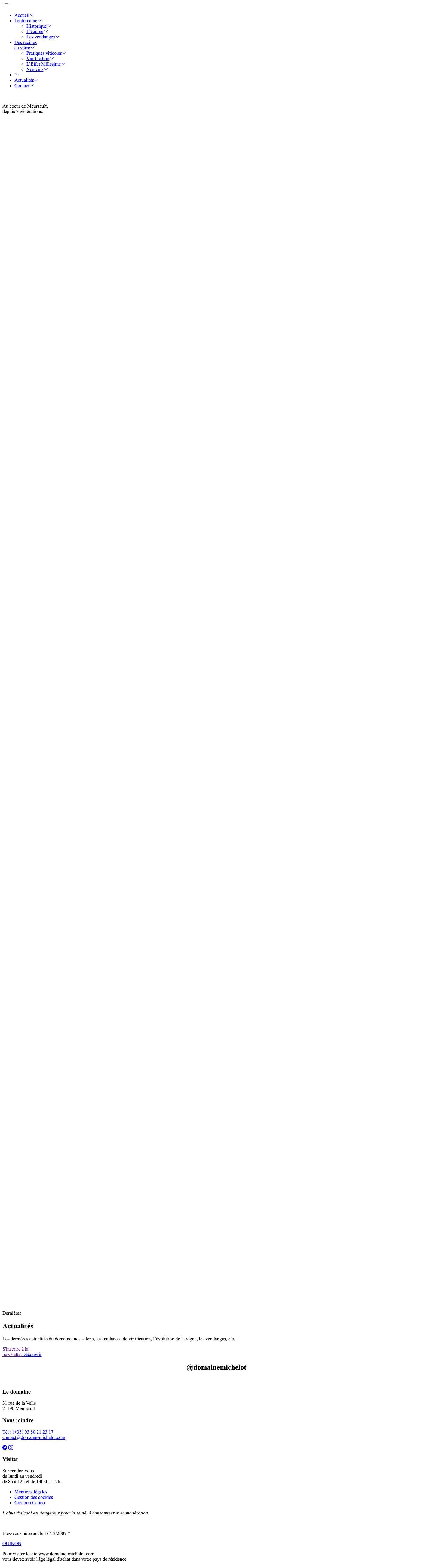 Accueil | Domaine Michelot - Full Screenshot