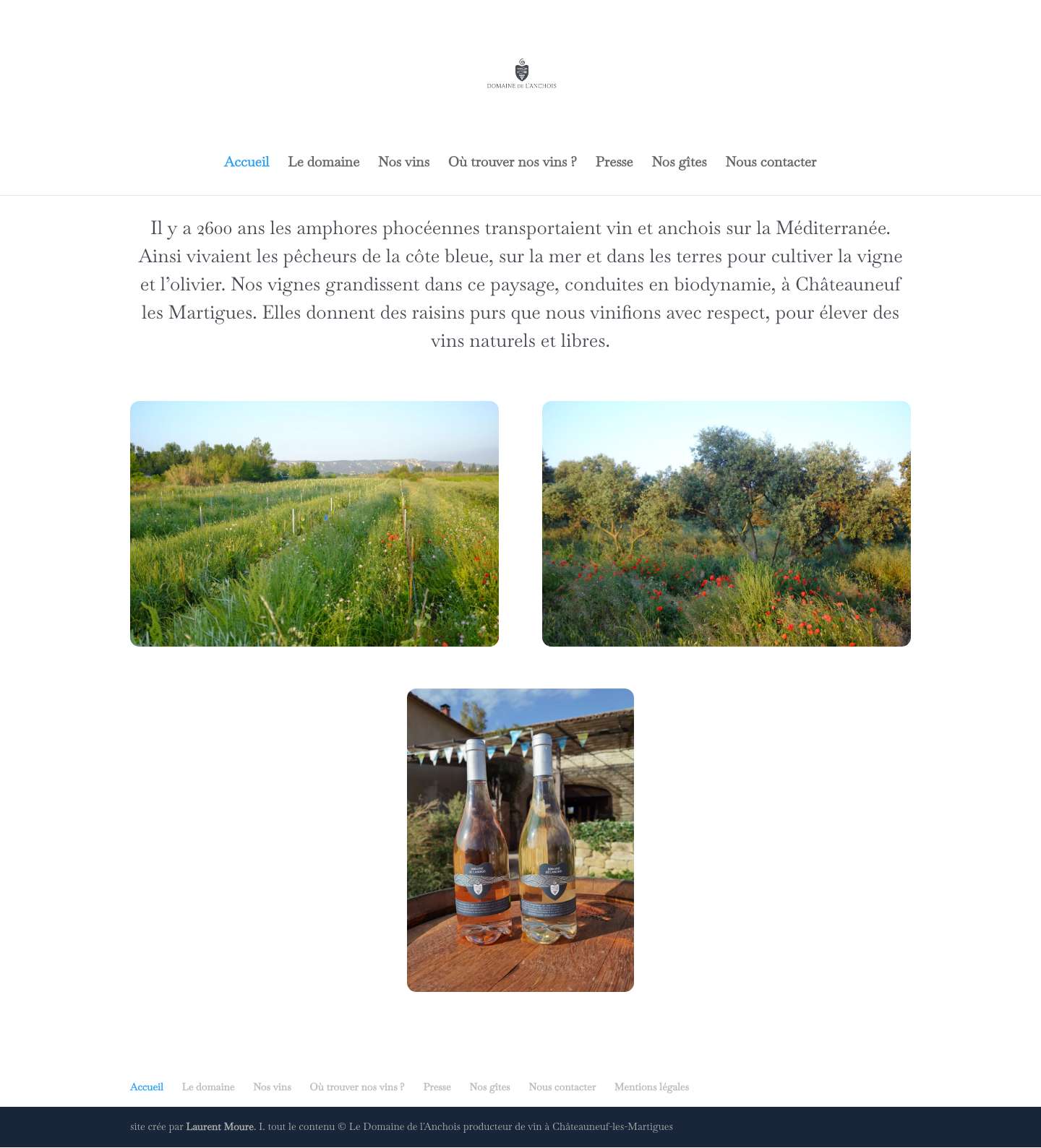 Accueil - Domaine de l'Anchois - Full Screenshot