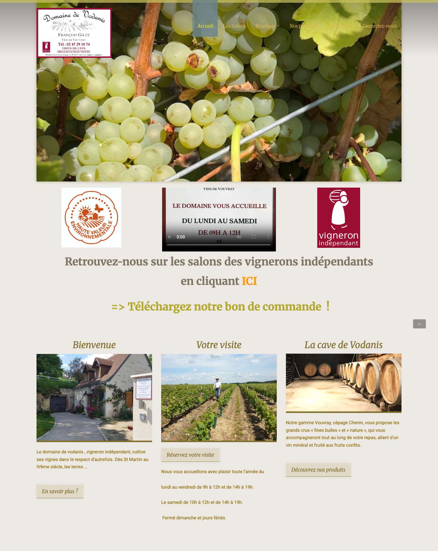 Domaine de Vodanis – AOC Vouvray à Parçay-Meslay - Full Screenshot