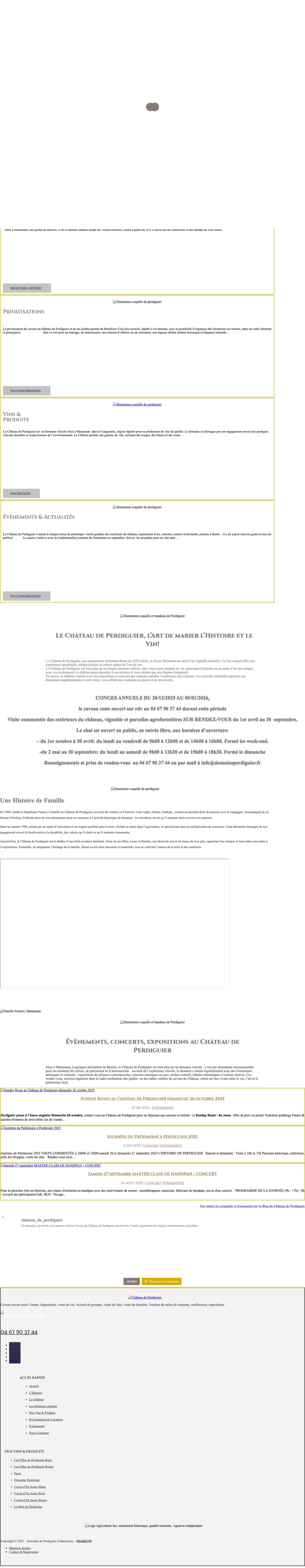 Accueil Domaine - Chateau de Perdiguier, Maraussan - Full Screenshot